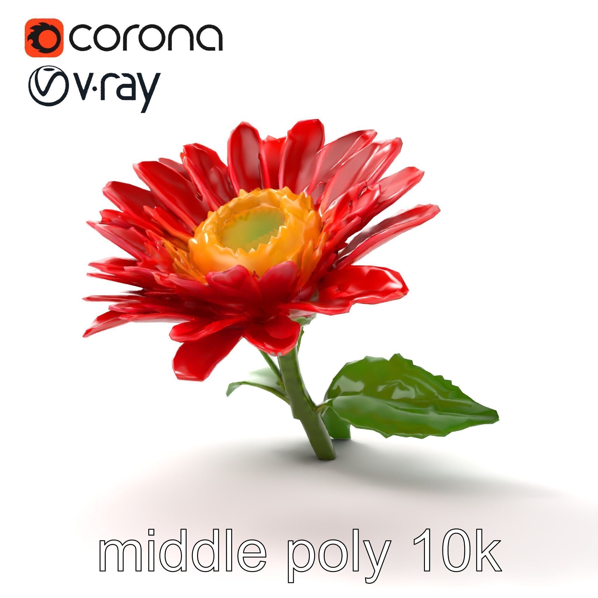 Leucanthemum Red Bloom Realistic Flower model pack Low-poly 3D model_16