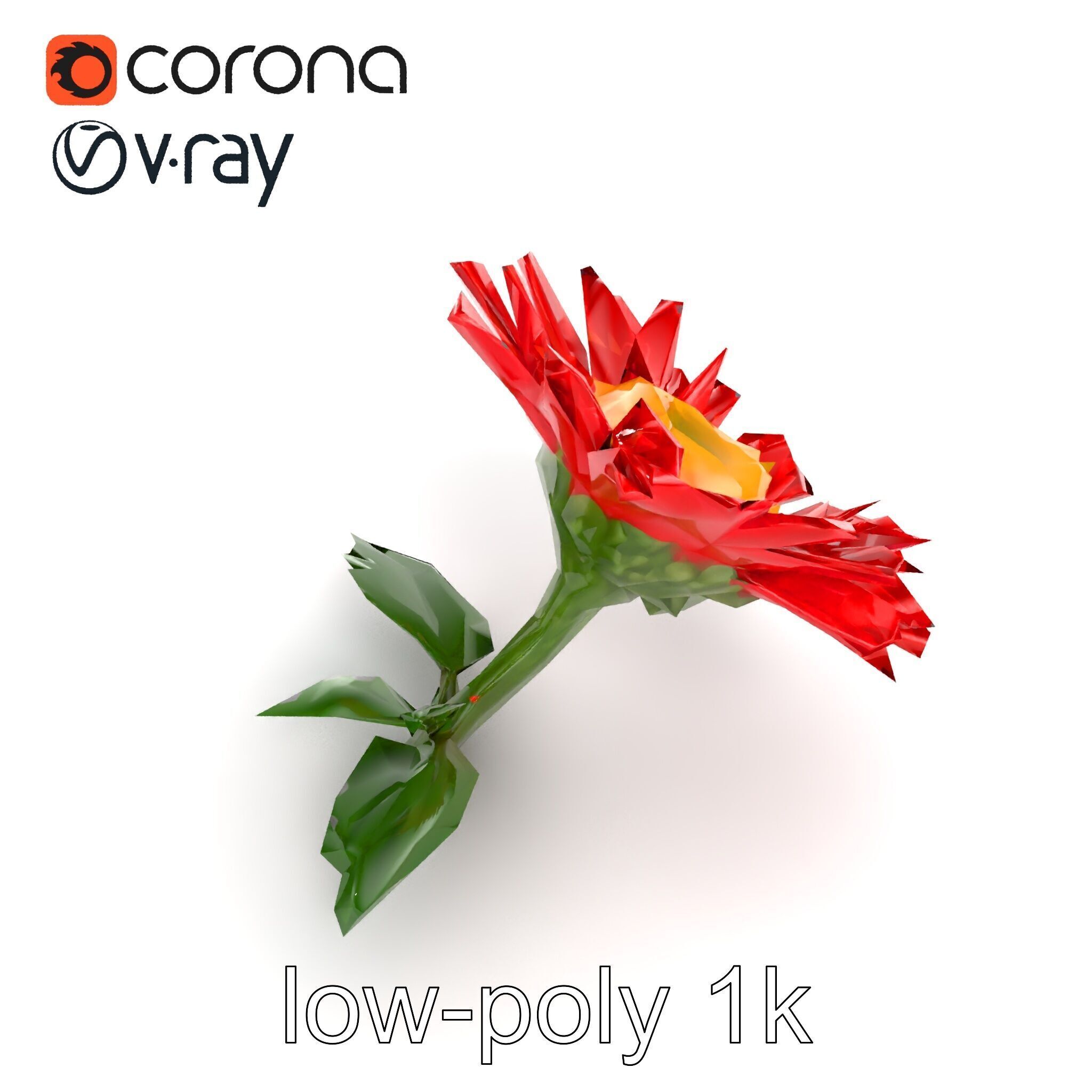 Leucanthemum Red Bloom Realistic Flower model pack Low-poly 3D model_11