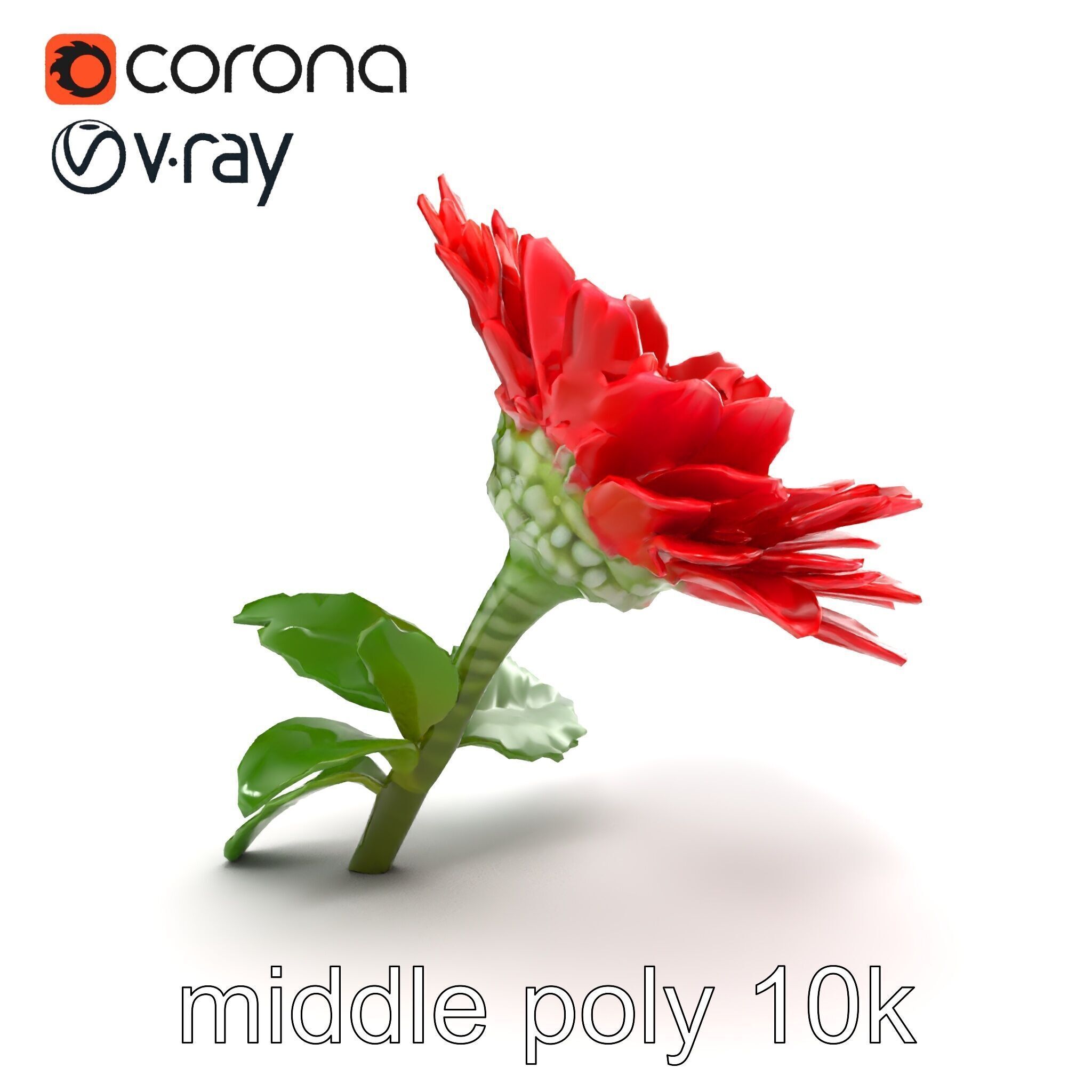 Leucanthemum Red Bloom Realistic Flower model pack Low-poly 3D model_20