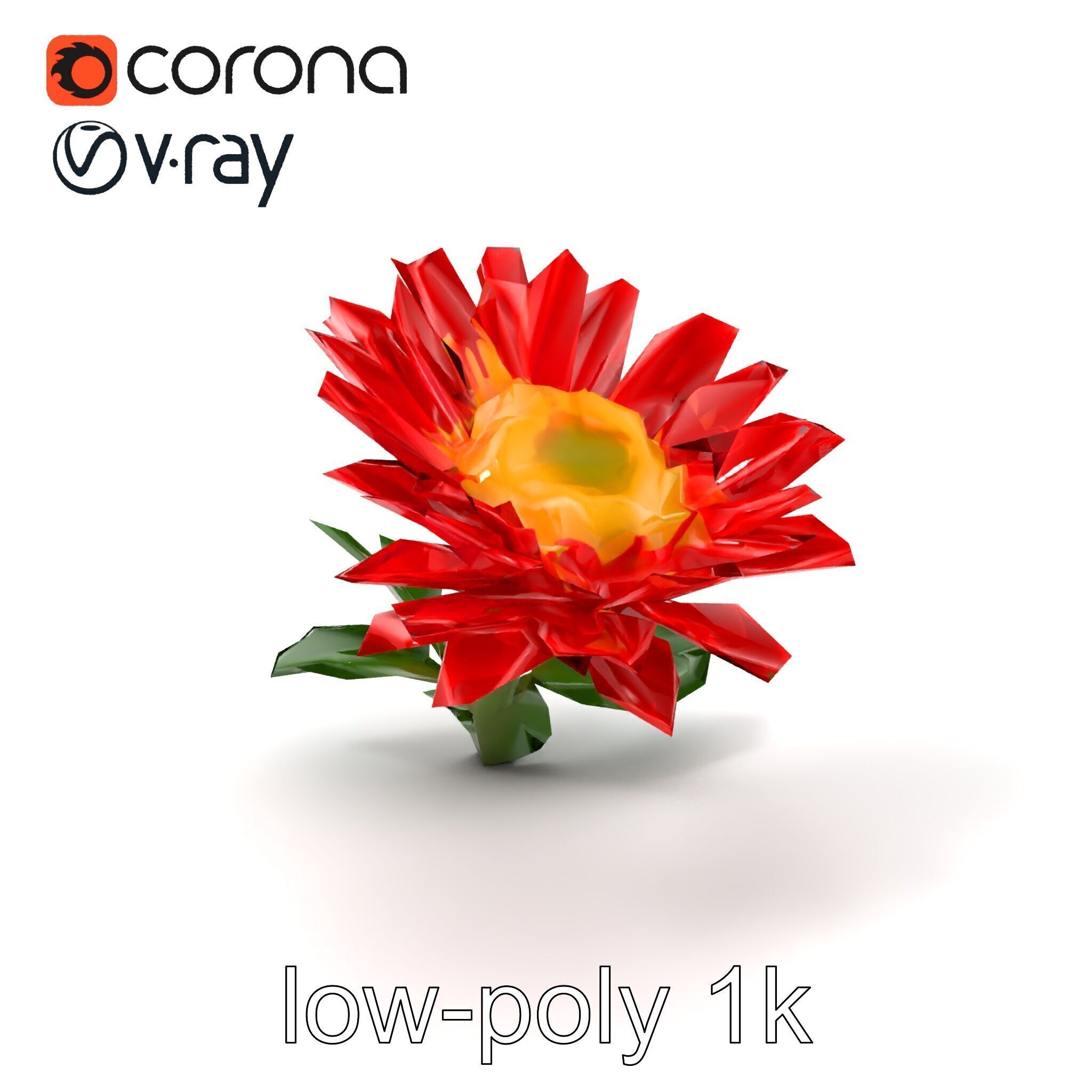 Leucanthemum Red Bloom Realistic Flower model pack Low-poly 3D model_5