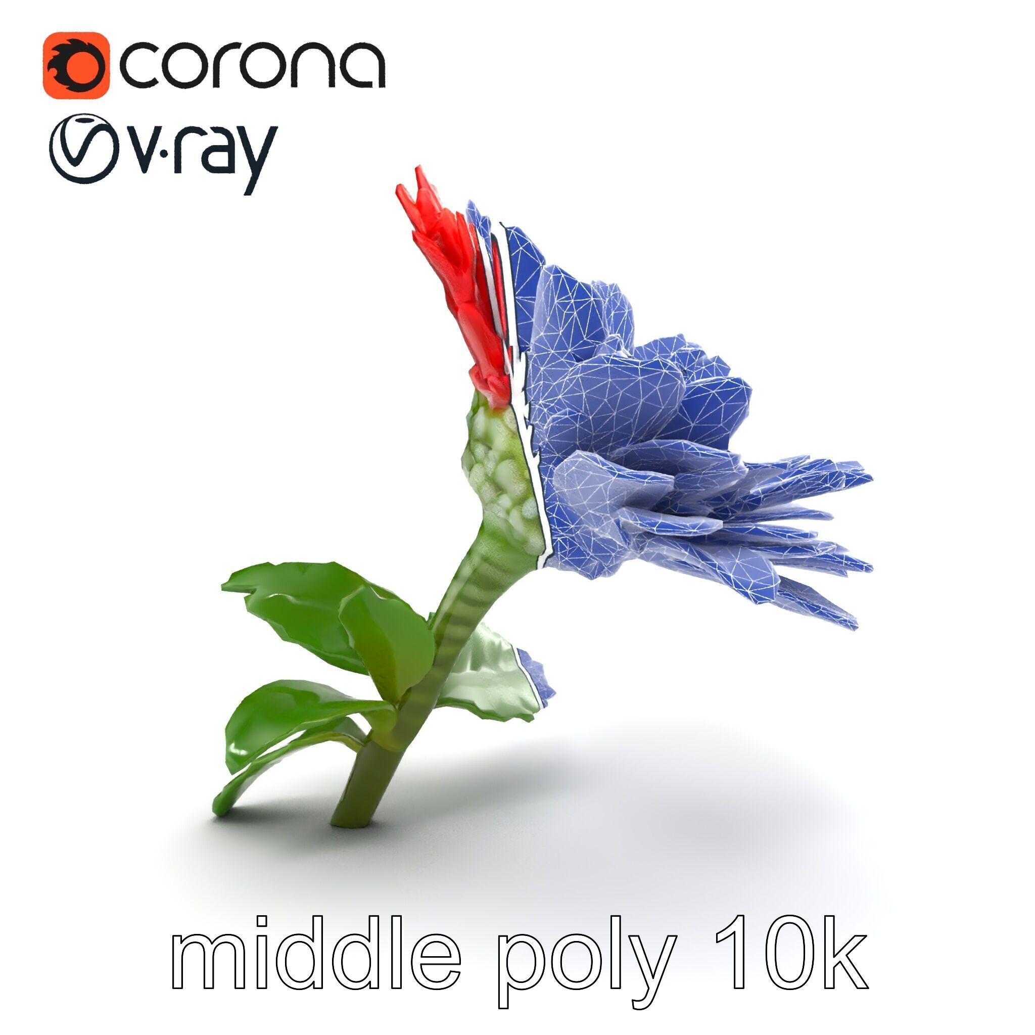 Leucanthemum Red Bloom Realistic Flower model pack Low-poly 3D model_25