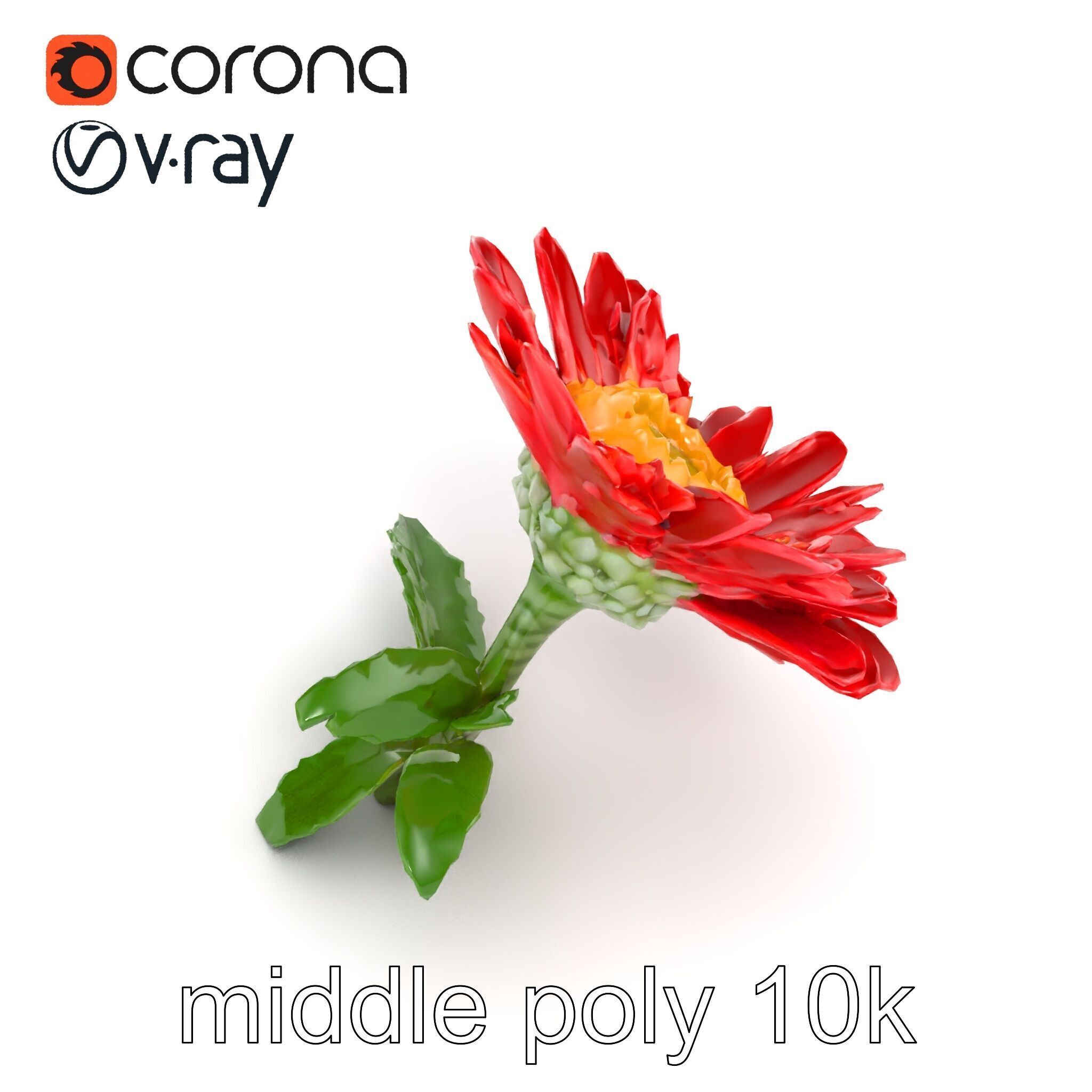 Leucanthemum Red Bloom Realistic Flower model pack Low-poly 3D model_29