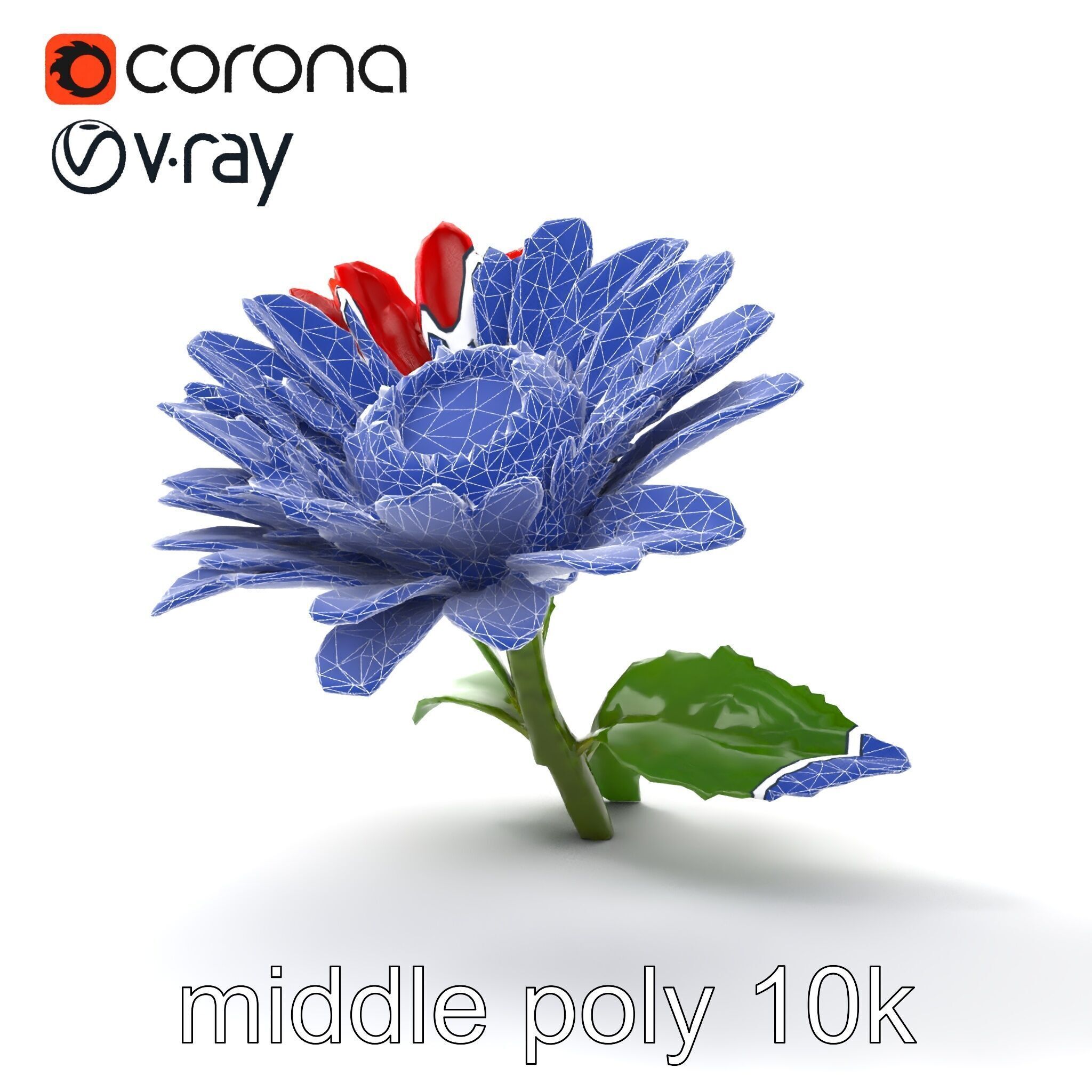 Leucanthemum Red Bloom Realistic Flower model pack Low-poly 3D model_31