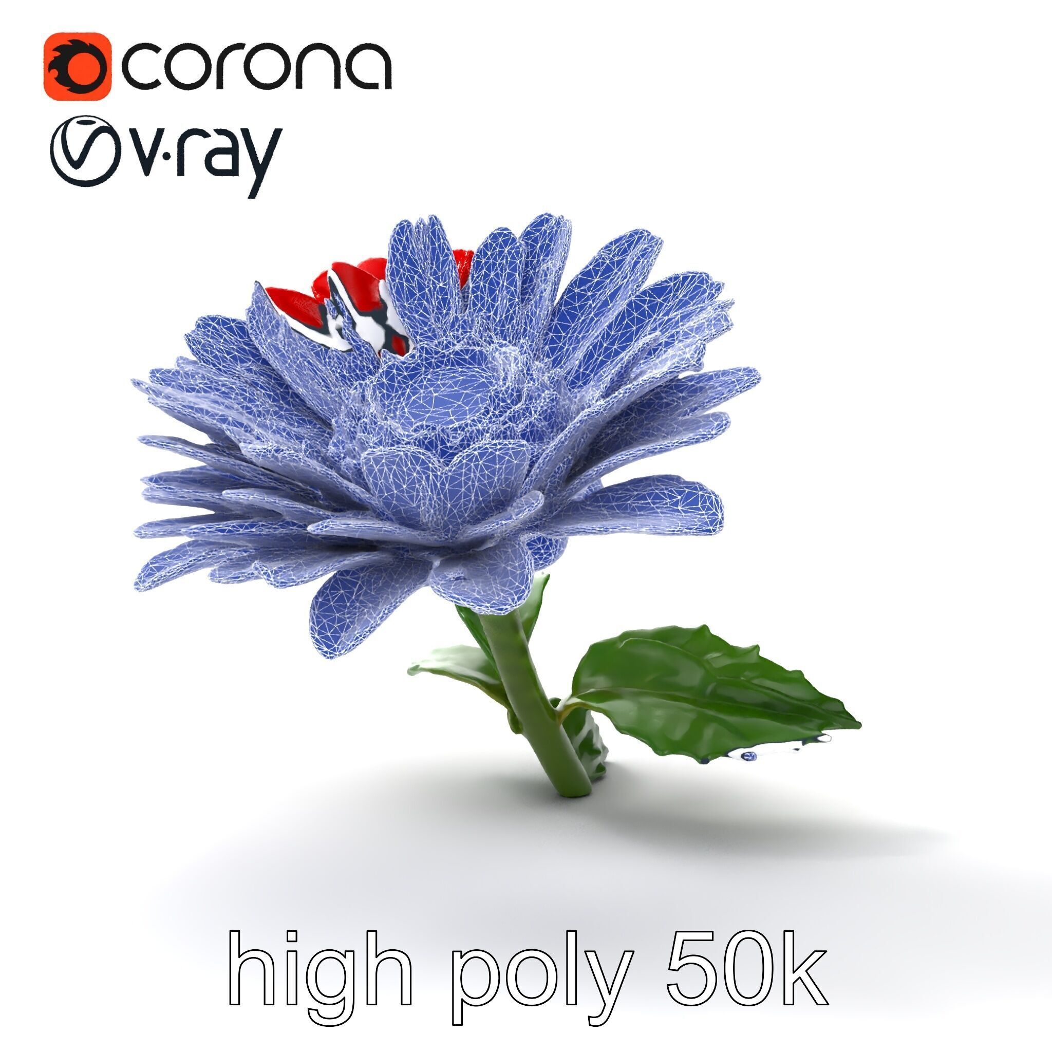 Leucanthemum Red Bloom Realistic Flower model pack Low-poly 3D model_32