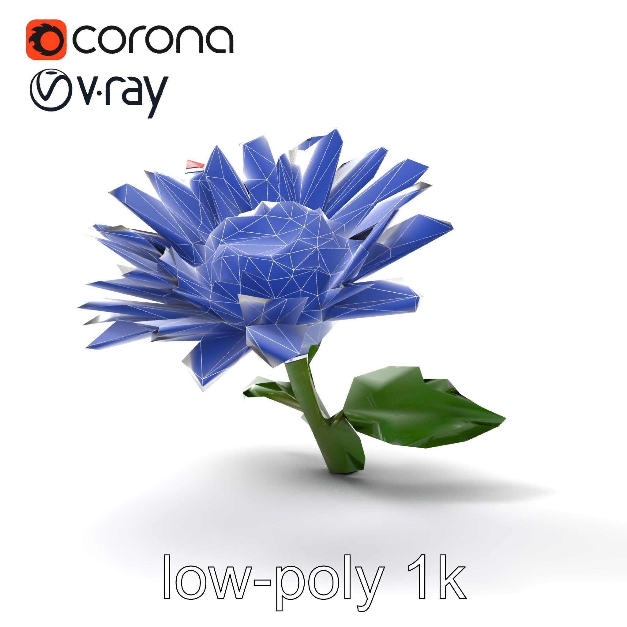 Leucanthemum Red Bloom Realistic Flower model pack Low-poly 3D model_24