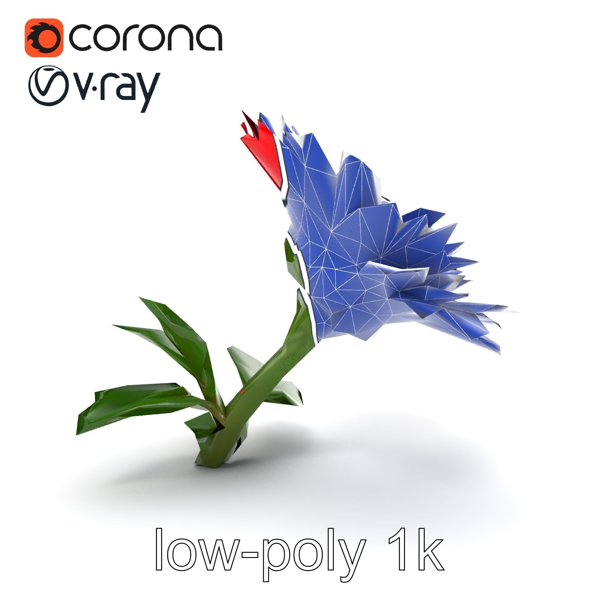 Leucanthemum Red Bloom Realistic Flower model pack Low-poly 3D model_21