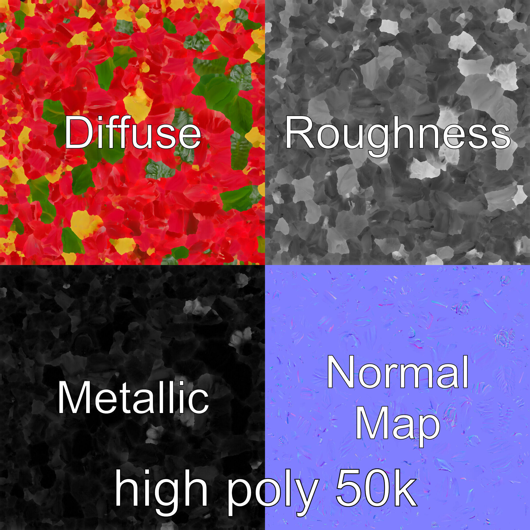 Leucanthemum Red Bloom Realistic Flower model pack Low-poly 3D model_3