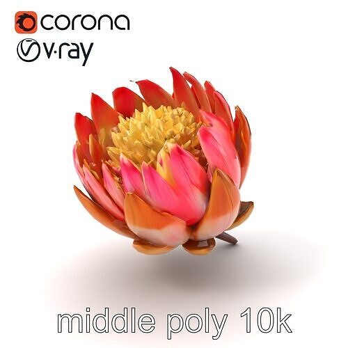 Alpine Protea Realistic Flower Sculpture Model Pack Low-poly 3D model