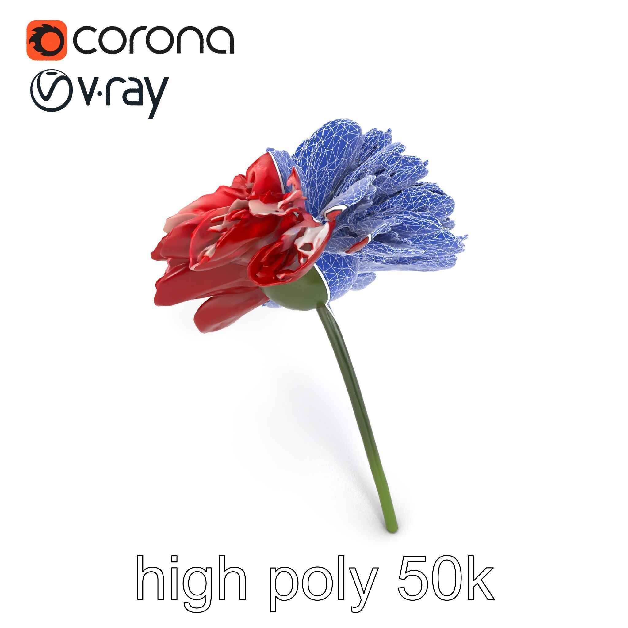 Dianthus Bicolor Flower Realistic Petal Pattern model pack Low-poly 3D model_17