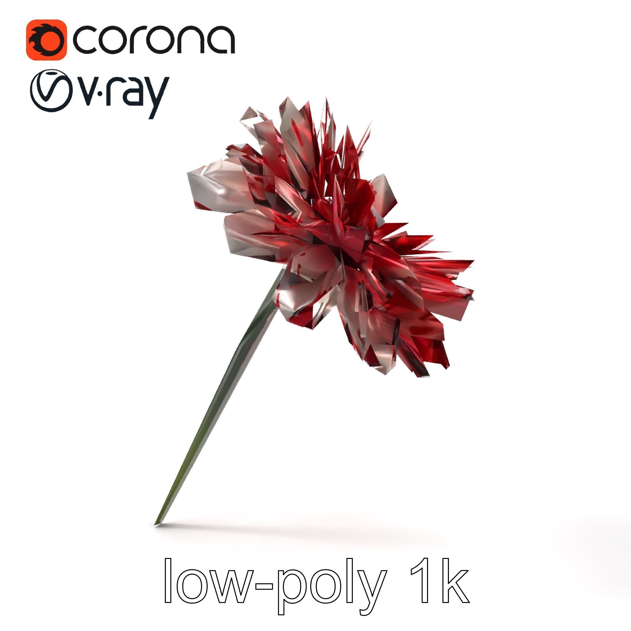 Dianthus Bicolor Flower Realistic Petal Pattern model pack Low-poly 3D model_24