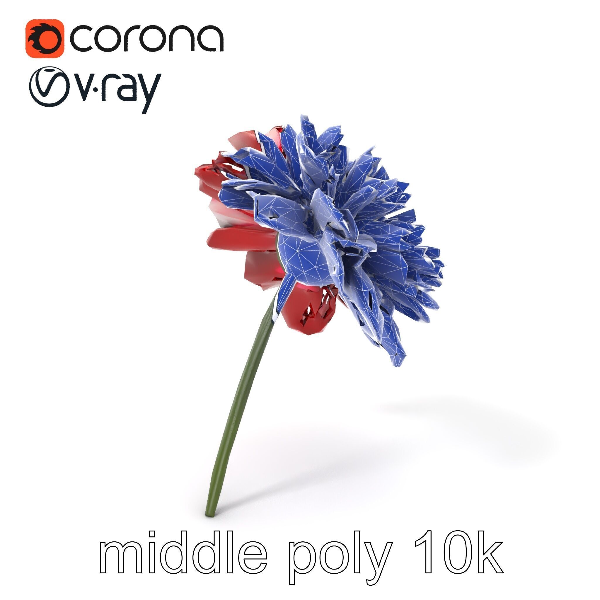 Dianthus Bicolor Flower Realistic Petal Pattern model pack Low-poly 3D model_5