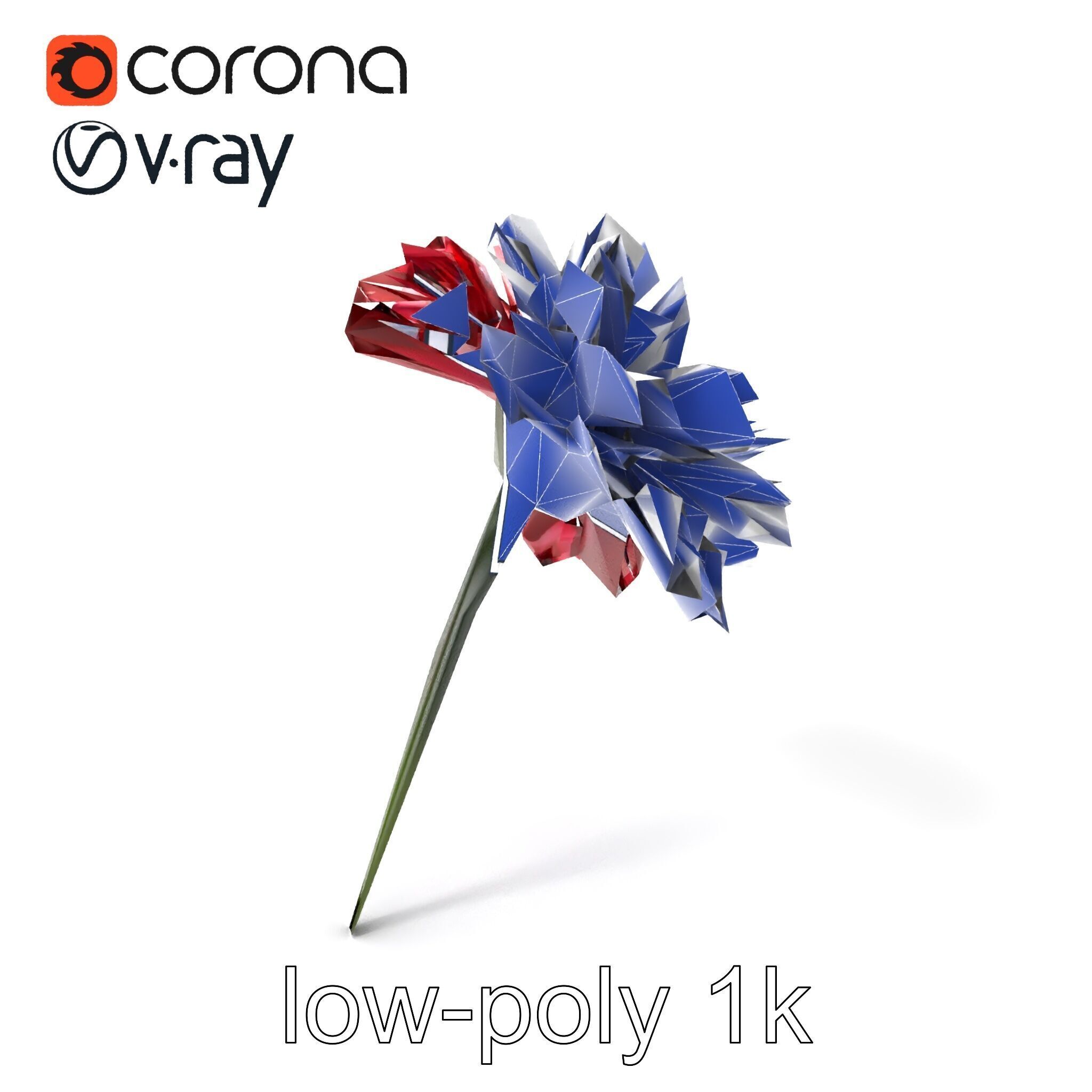 Dianthus Bicolor Flower Realistic Petal Pattern model pack Low-poly 3D model_6