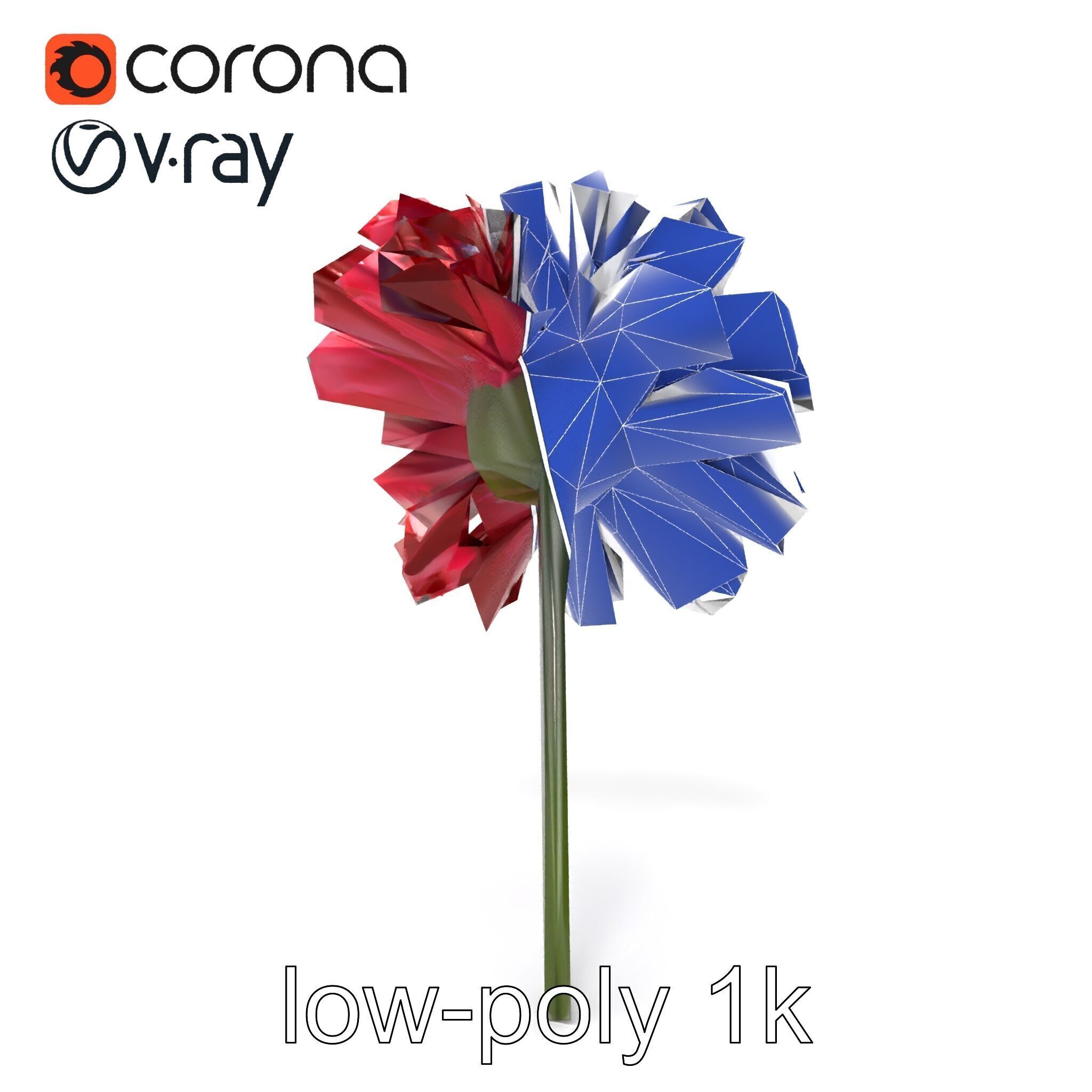 Dianthus Bicolor Flower Realistic Petal Pattern model pack Low-poly 3D model_14