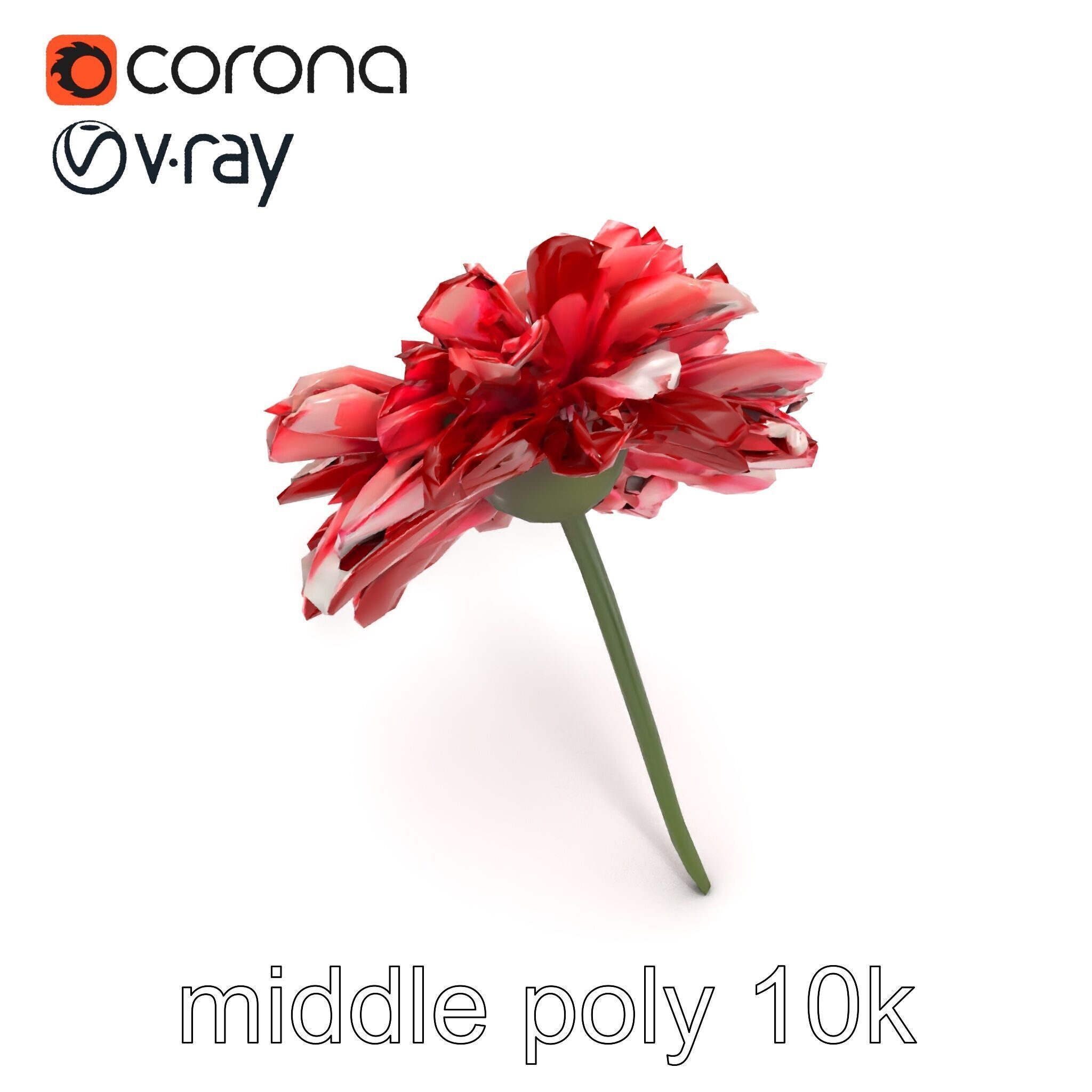 Dianthus Bicolor Flower Realistic Petal Pattern model pack Low-poly 3D model_20