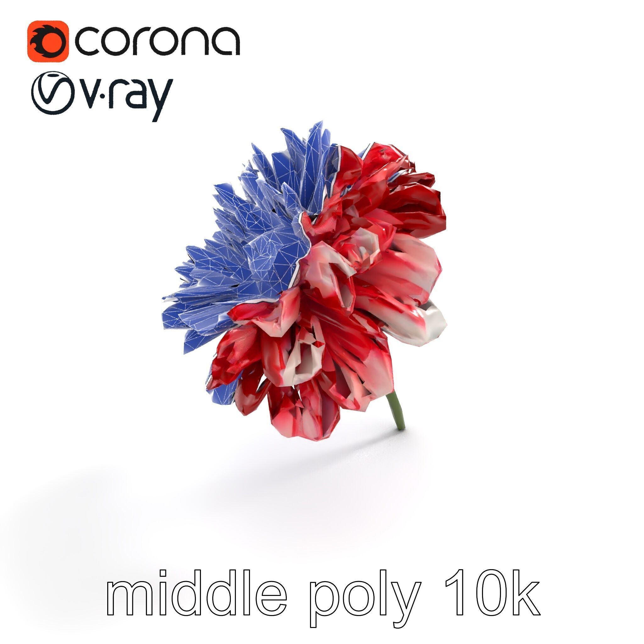 Dianthus Bicolor Flower Realistic Petal Pattern model pack Low-poly 3D model_10