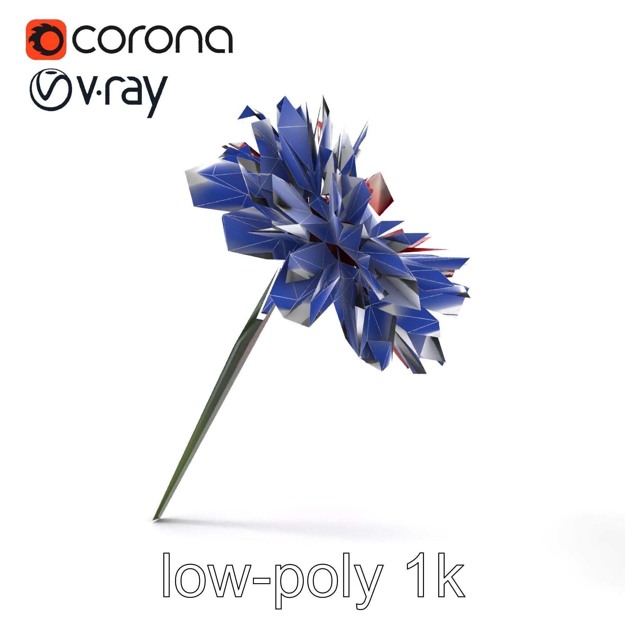 Dianthus Bicolor Flower Realistic Petal Pattern model pack Low-poly 3D model_16