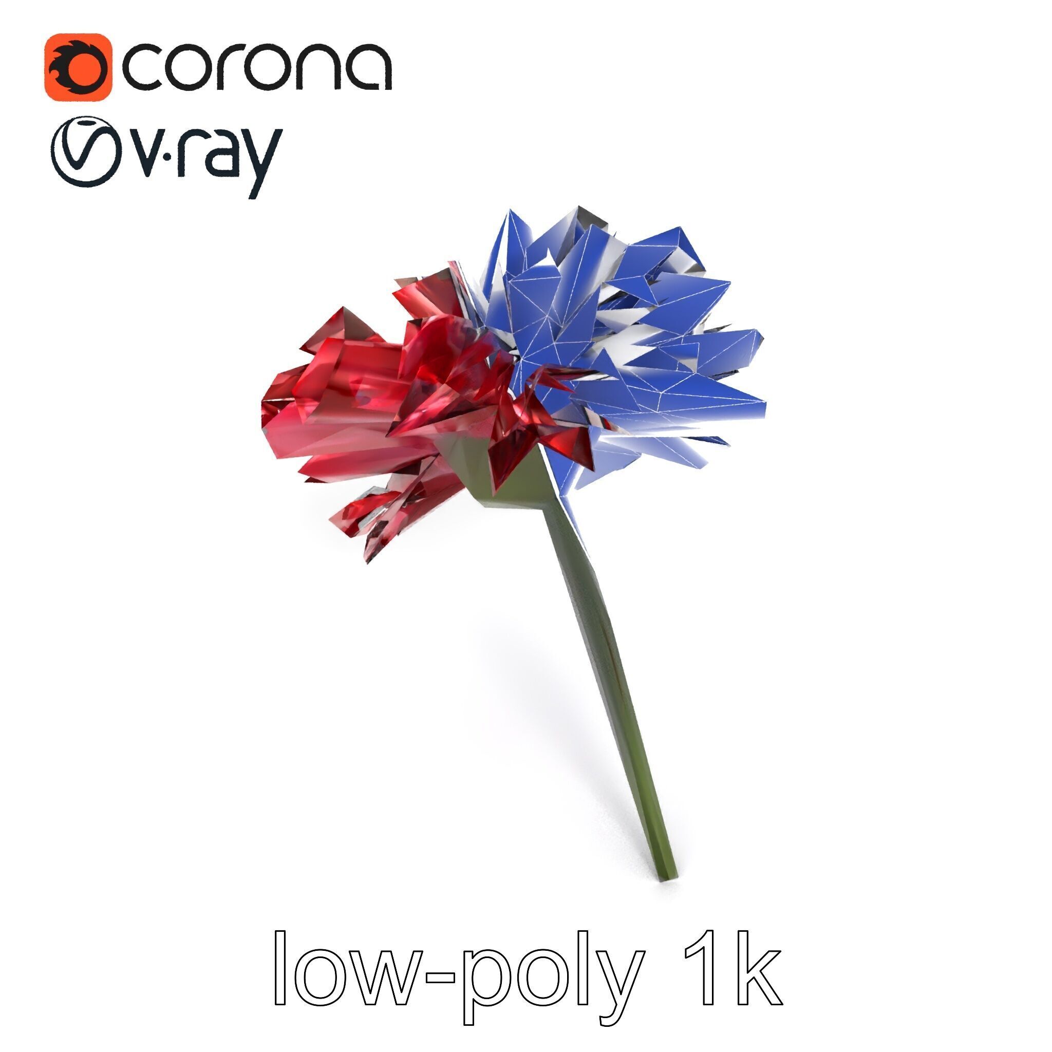 Dianthus Bicolor Flower Realistic Petal Pattern model pack Low-poly 3D model_19