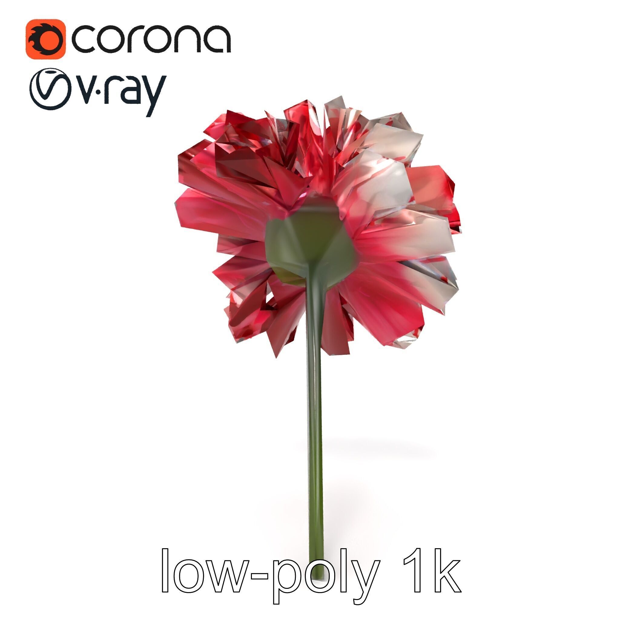 Dianthus Bicolor Flower Realistic Petal Pattern model pack Low-poly 3D model_13