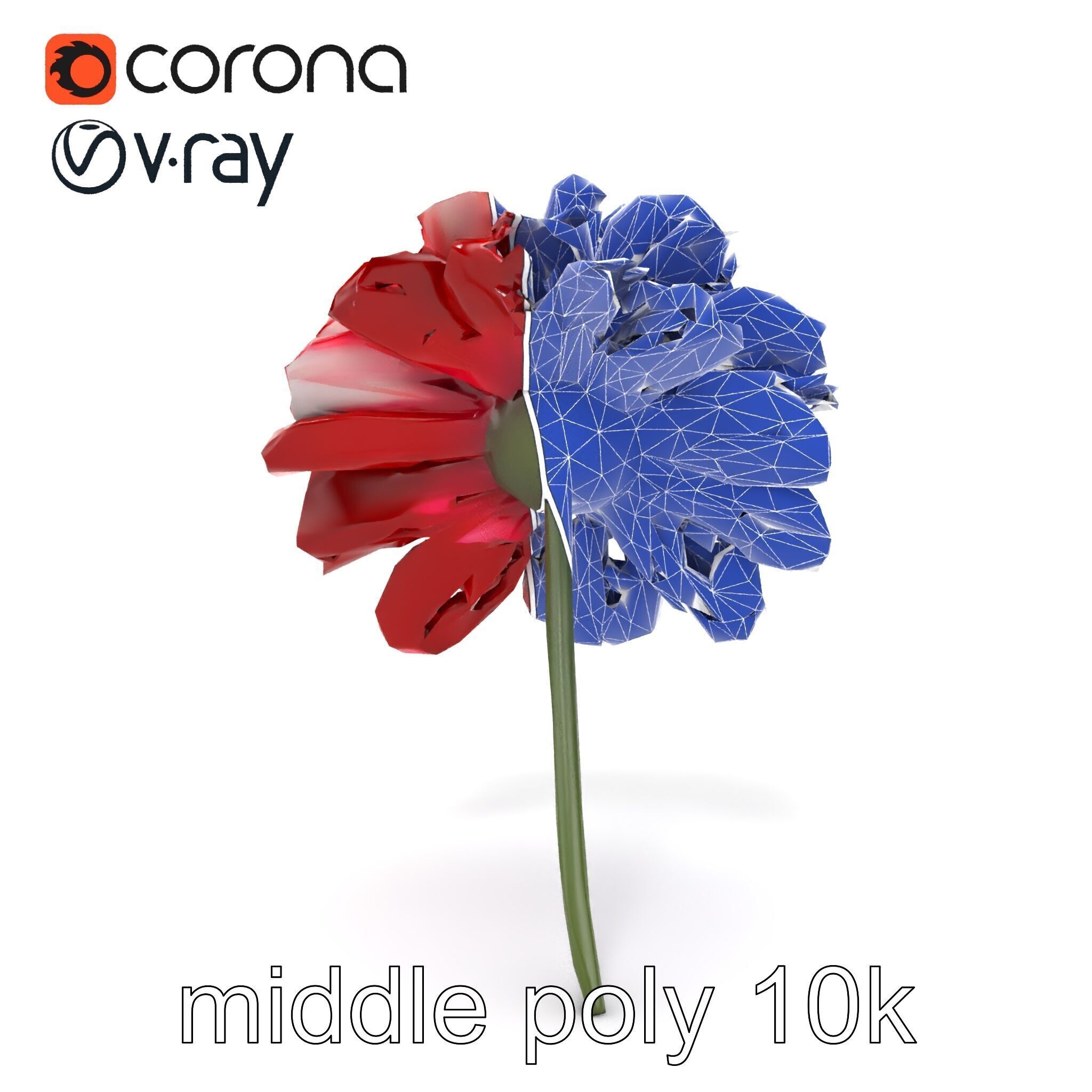 Dianthus Bicolor Flower Realistic Petal Pattern model pack Low-poly 3D model_15