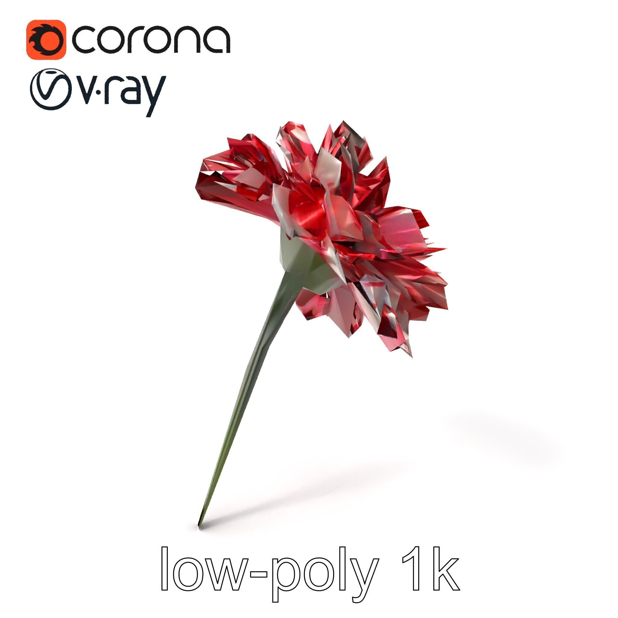 Dianthus Bicolor Flower Realistic Petal Pattern model pack Low-poly 3D model_4