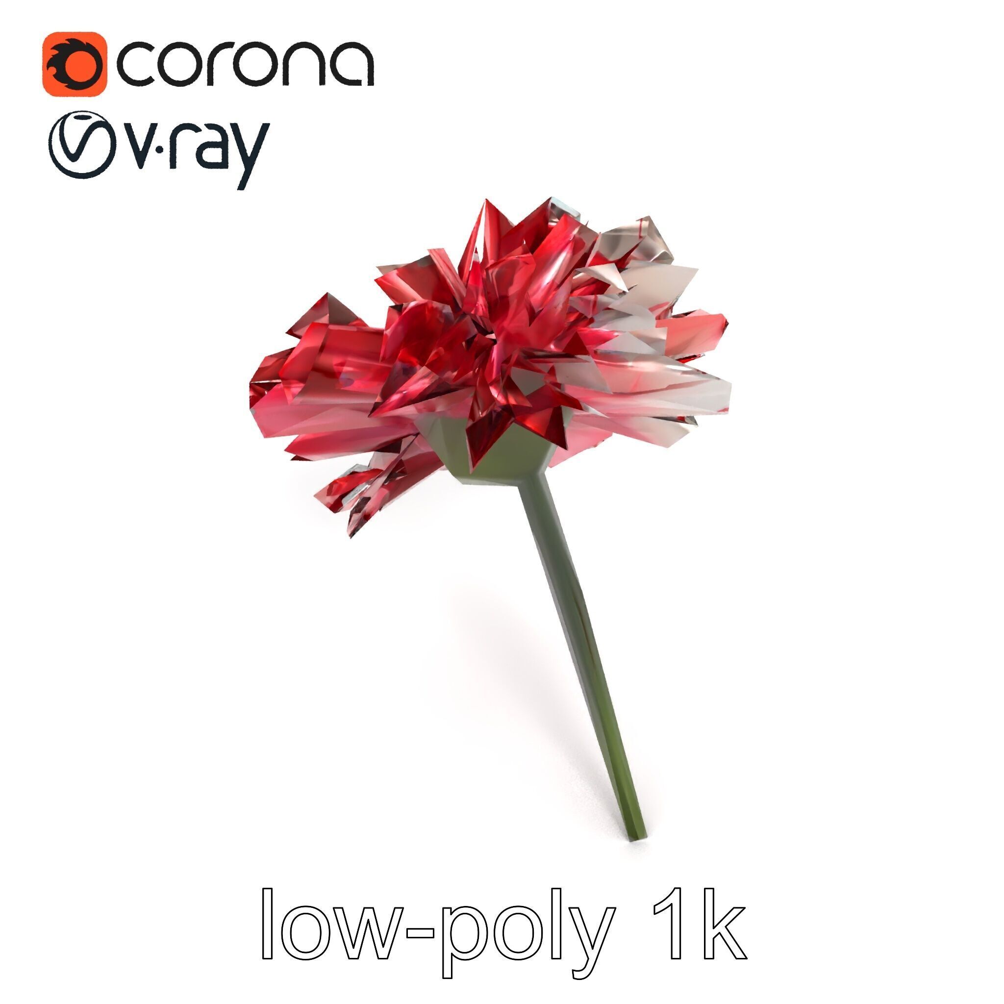 Dianthus Bicolor Flower Realistic Petal Pattern model pack Low-poly 3D model_12