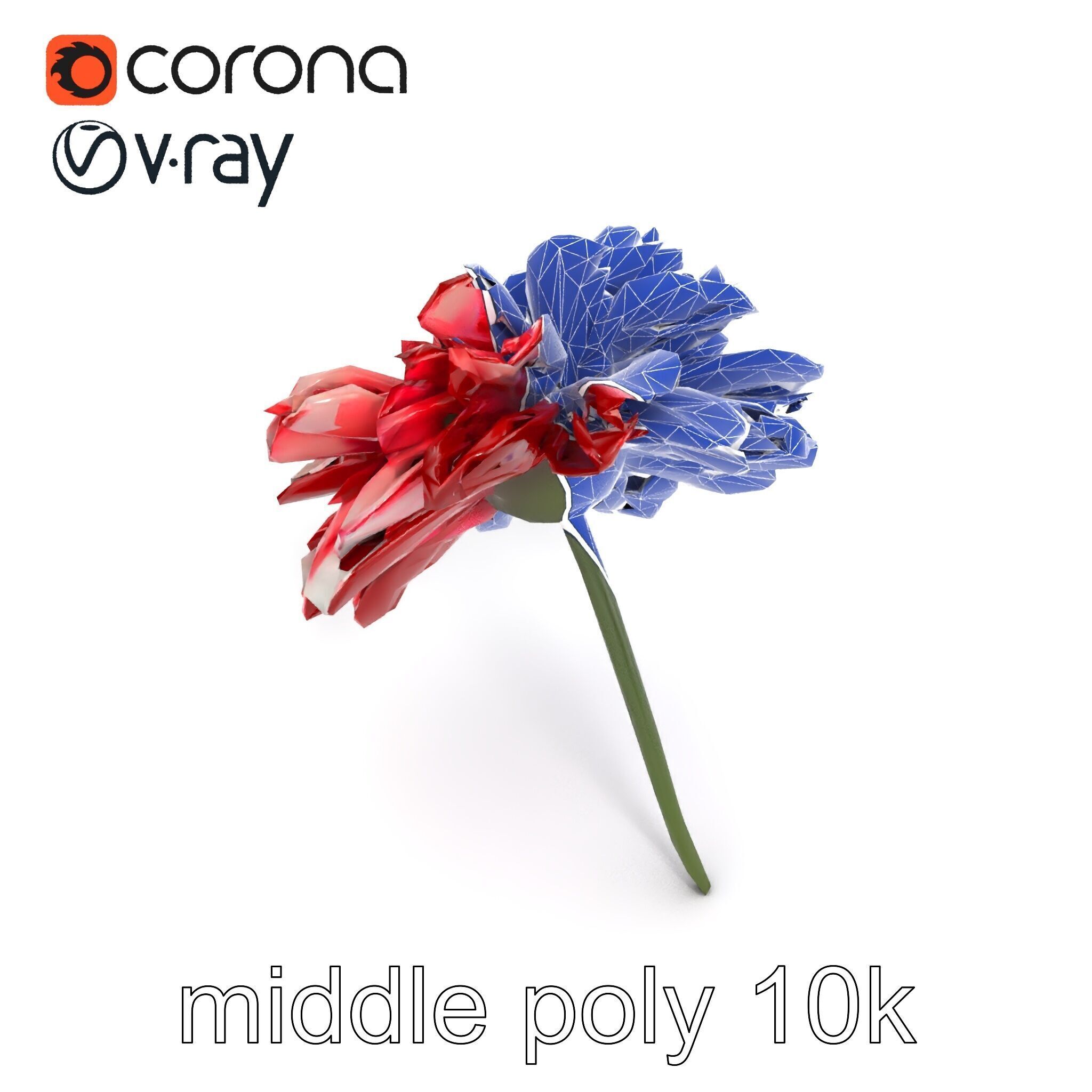 Dianthus Bicolor Flower Realistic Petal Pattern model pack Low-poly 3D model_21