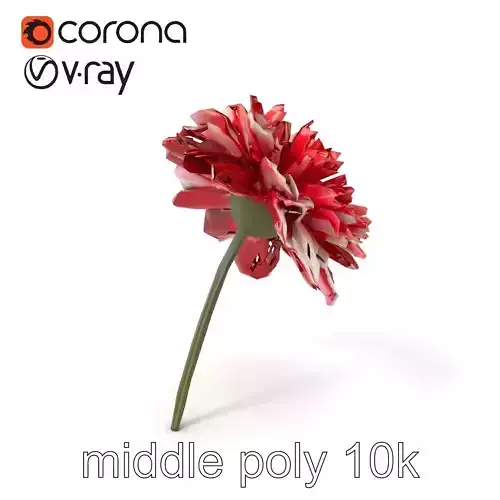 Dianthus Bicolor Flower Realistic Petal Pattern model pack Low-poly 3D model