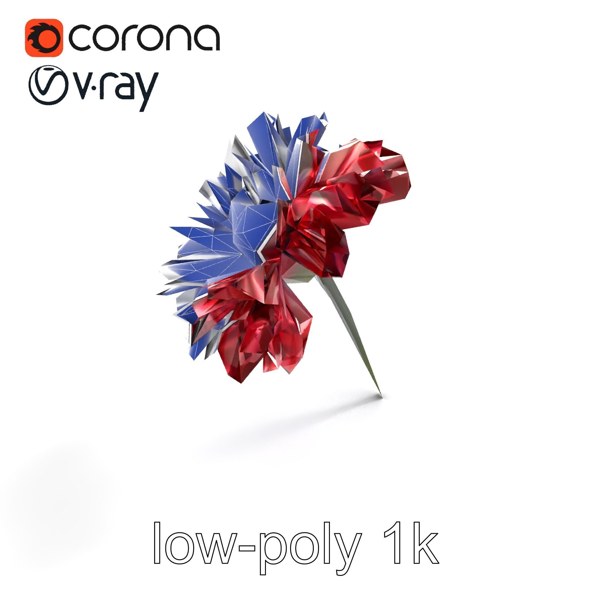 Dianthus Bicolor Flower Realistic Petal Pattern model pack Low-poly 3D model_18