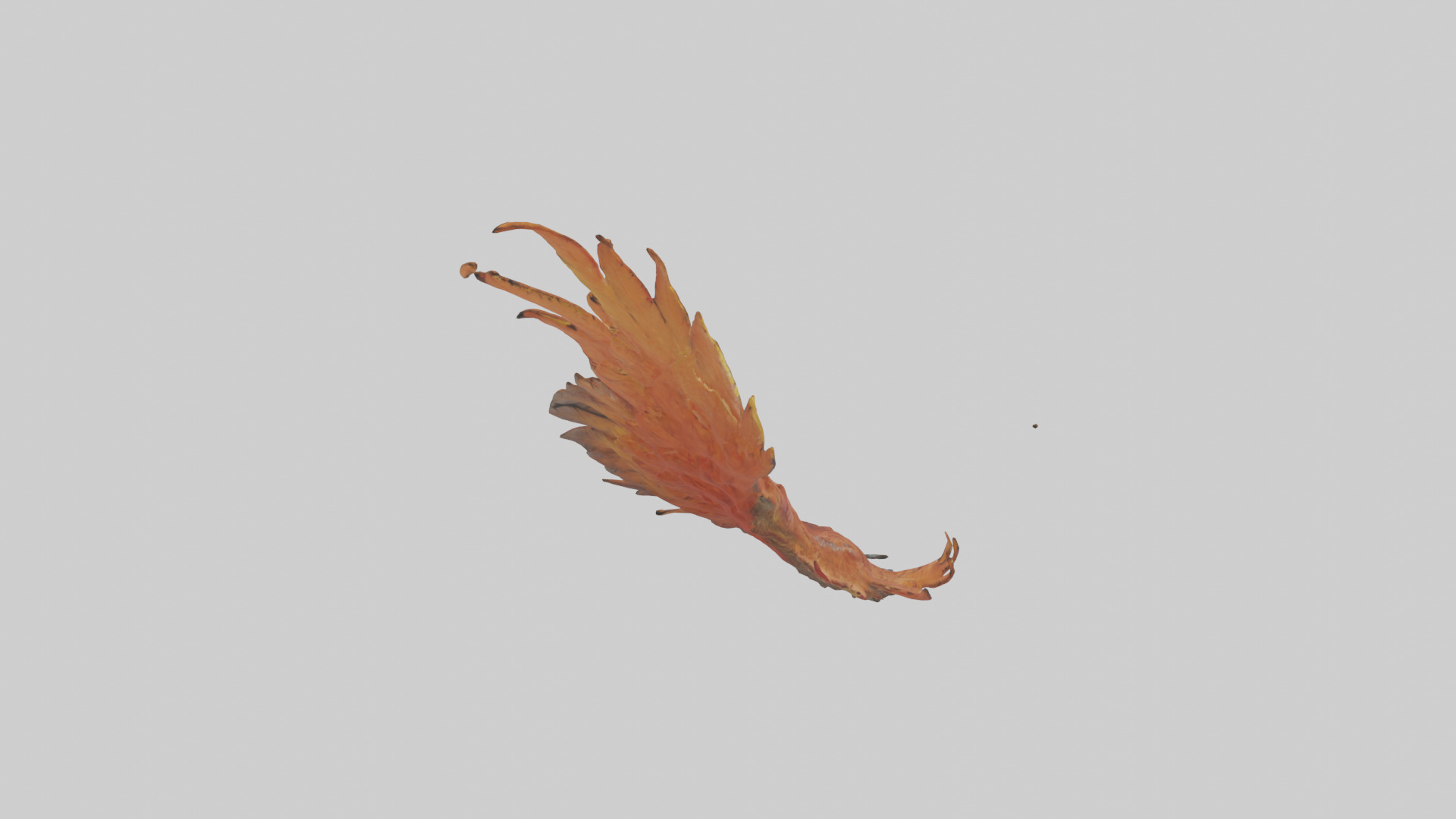 Phoenix Feather model Low-poly 3D model_15