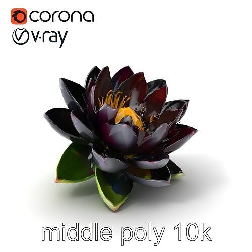 Deep Black Water Lily Petals model pack Low-poly 3D model