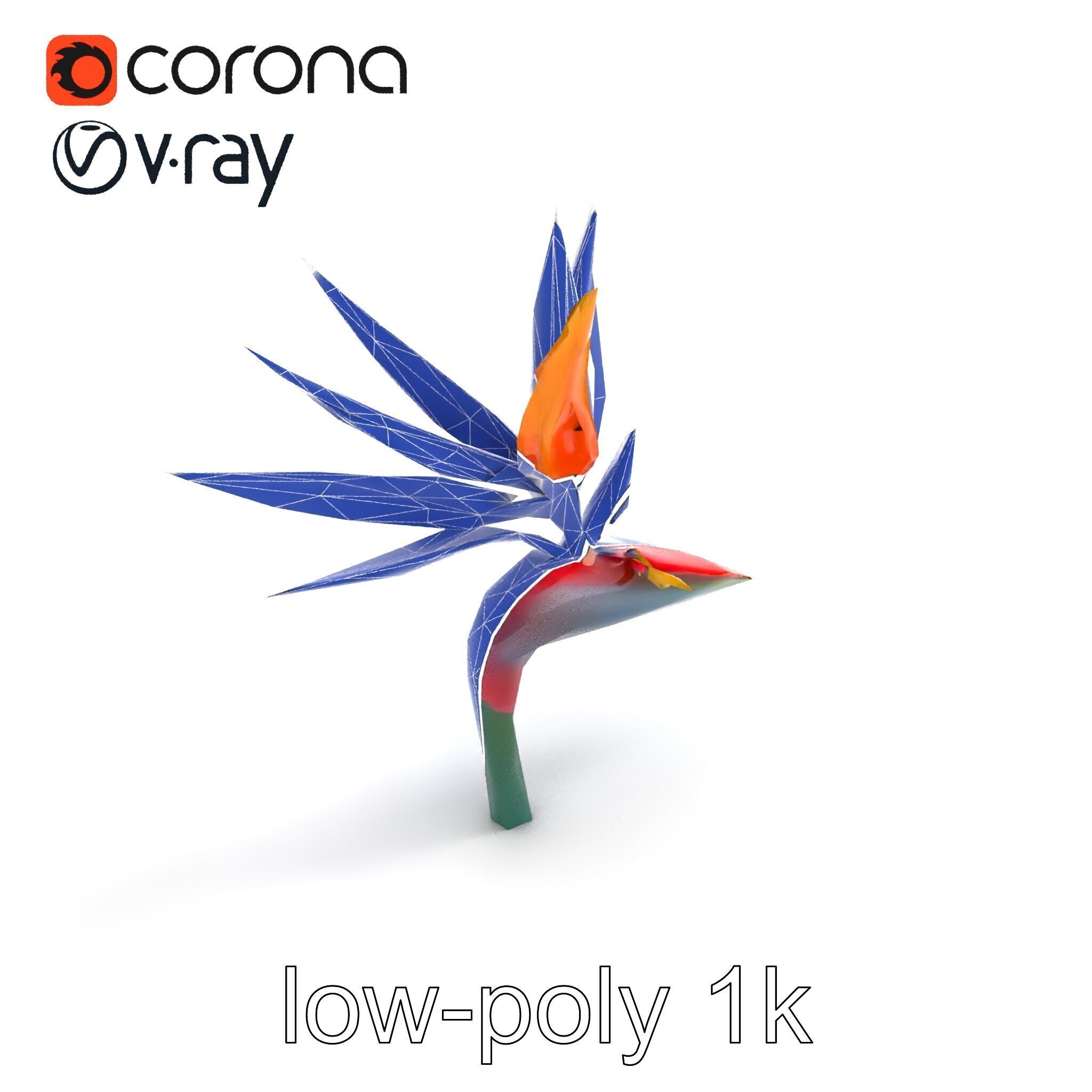 Strelitzia Reginae Bird of Paradise Flower model pack Low-poly 3D model_24