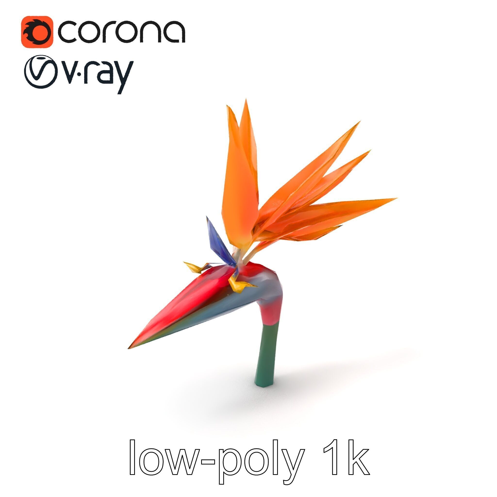 Strelitzia Reginae Bird of Paradise Flower model pack Low-poly 3D model_4