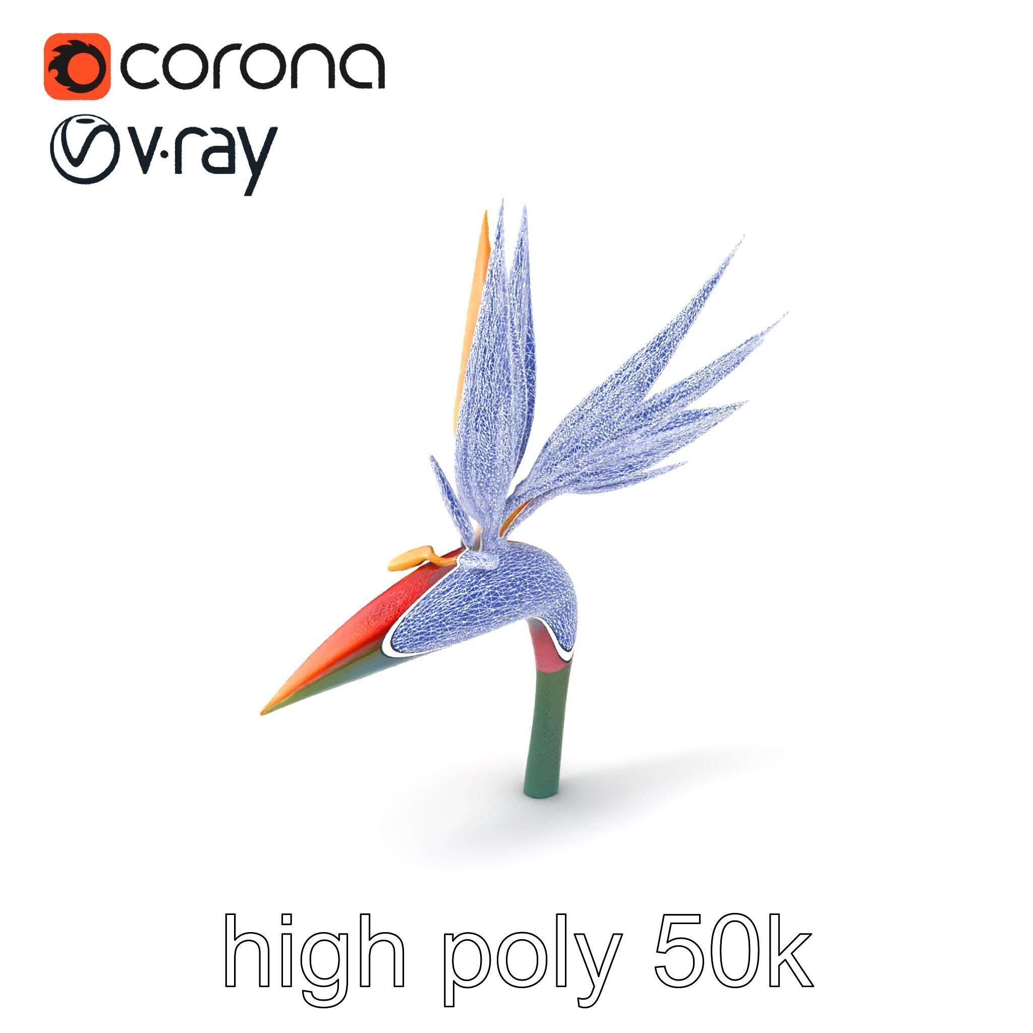 Strelitzia Reginae Bird of Paradise Flower model pack Low-poly 3D model_1