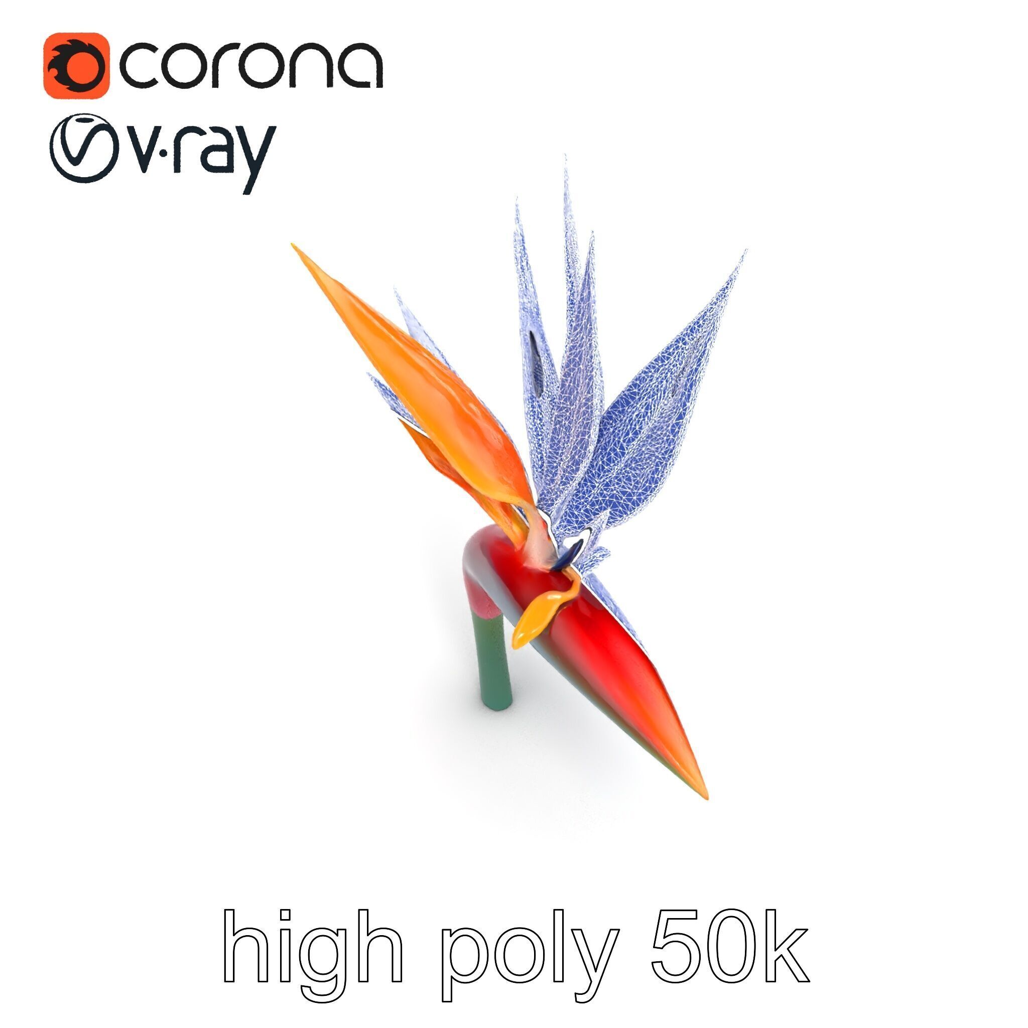 Strelitzia Reginae Bird of Paradise Flower model pack Low-poly 3D model_22