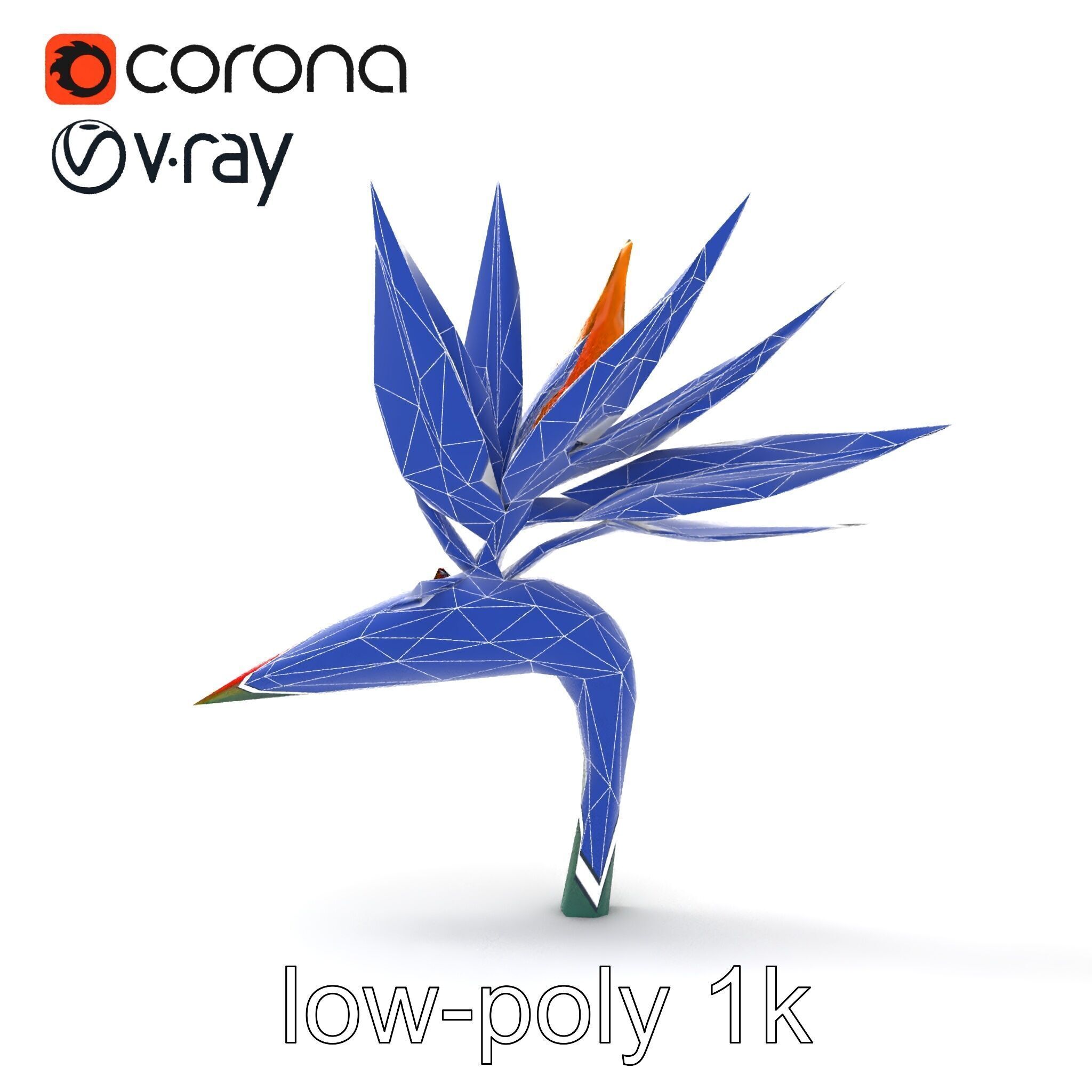 Strelitzia Reginae Bird of Paradise Flower model pack Low-poly 3D model_25