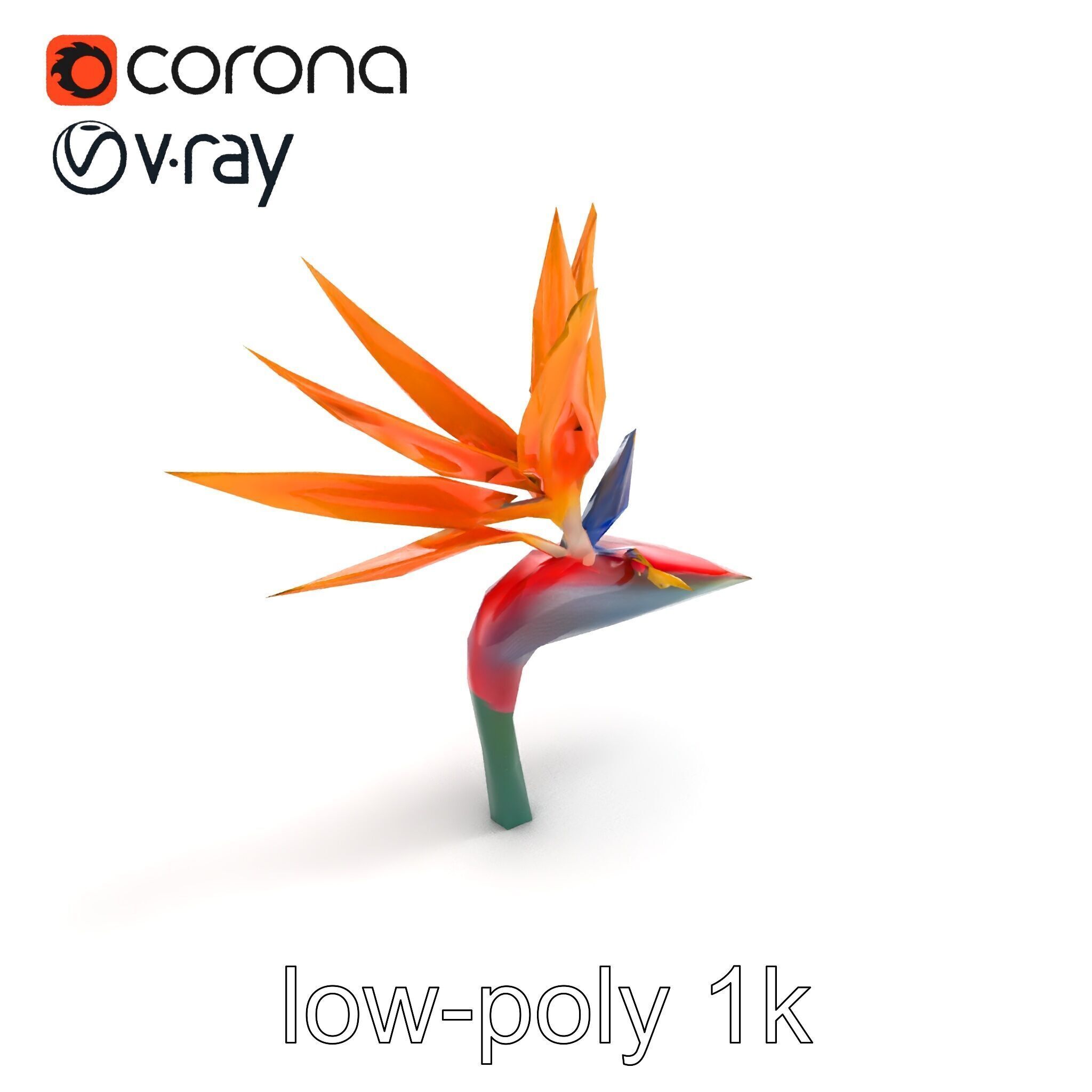 Strelitzia Reginae Bird of Paradise Flower model pack Low-poly 3D model_8