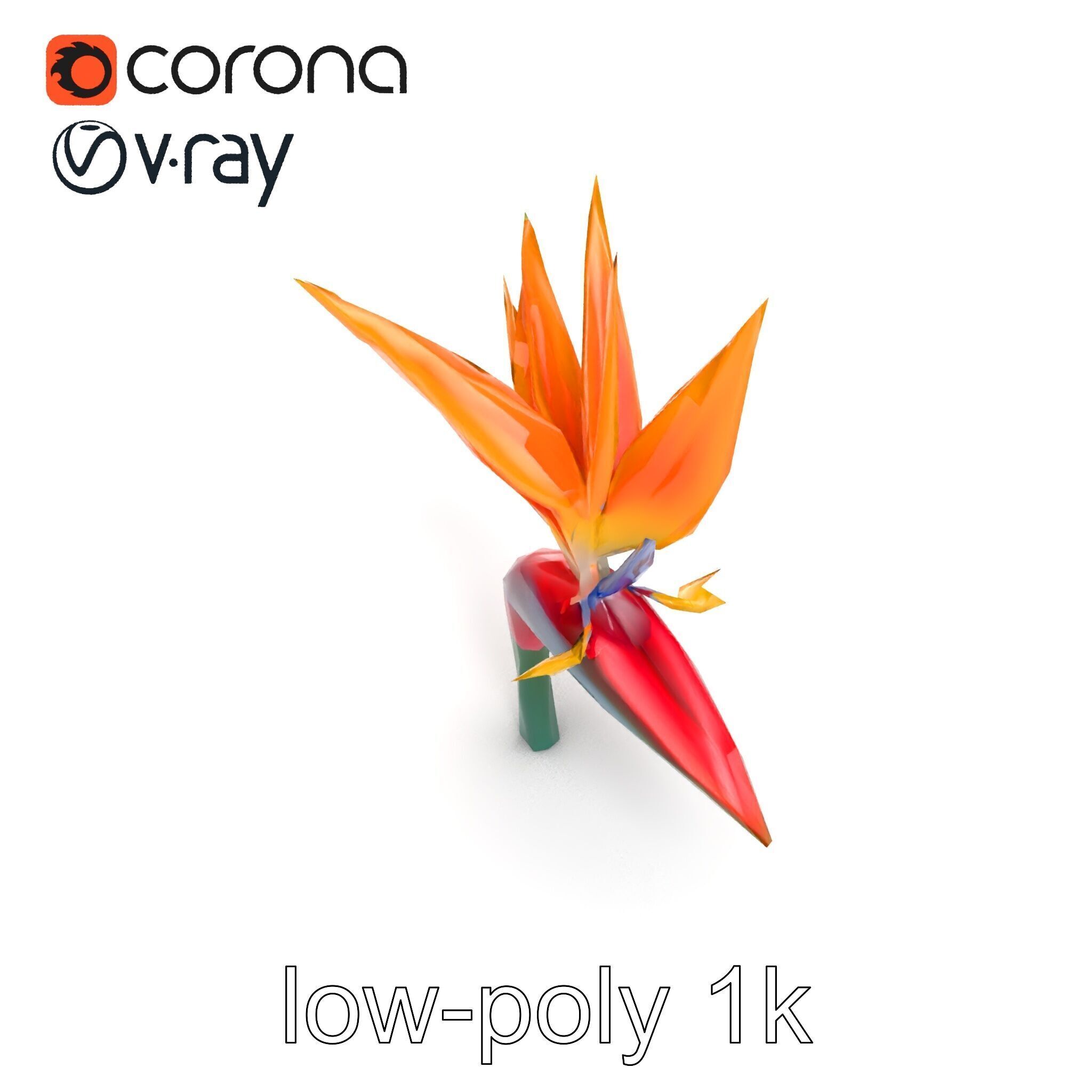 Strelitzia Reginae Bird of Paradise Flower model pack Low-poly 3D model_18