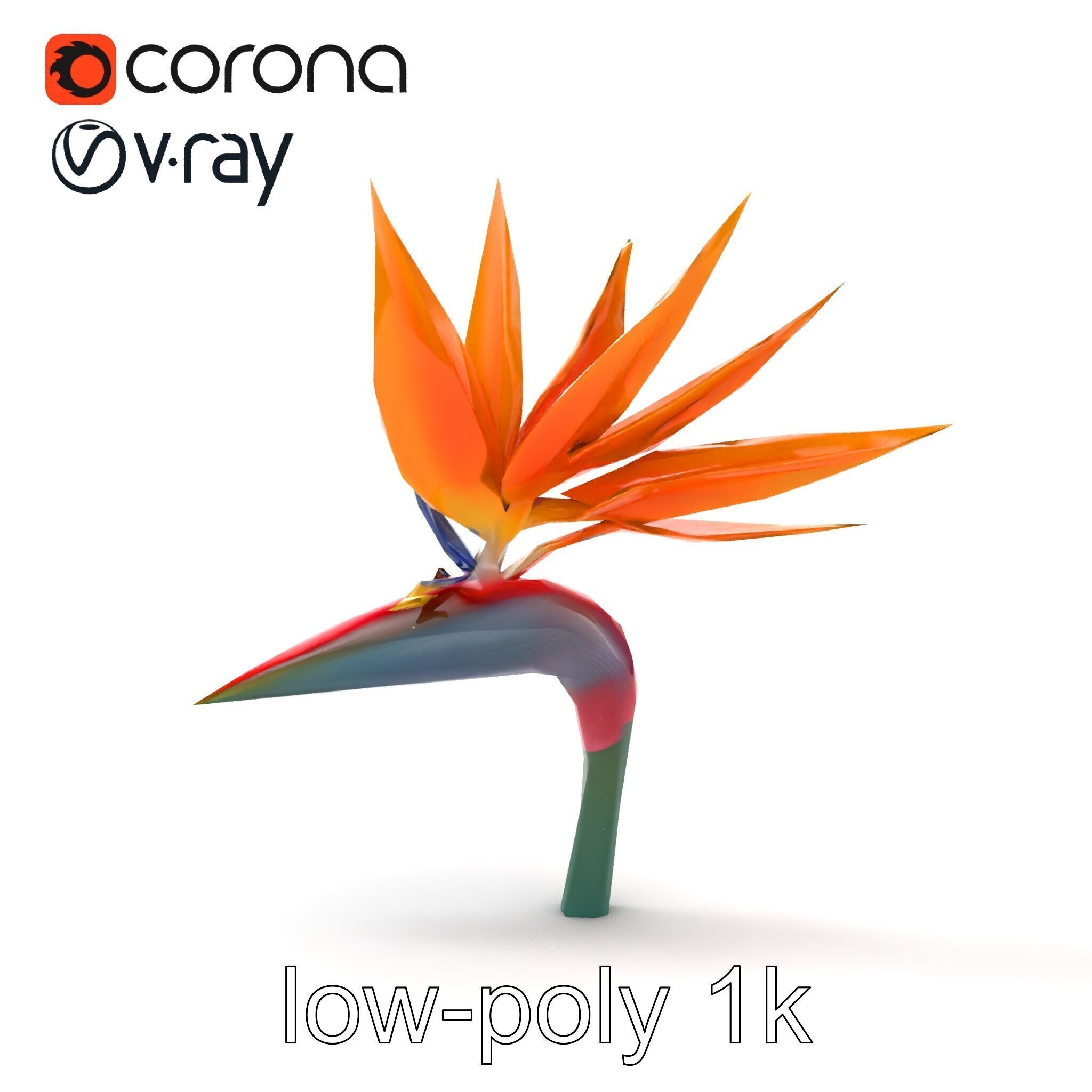 Strelitzia Reginae Bird of Paradise Flower model pack Low-poly 3D model_30