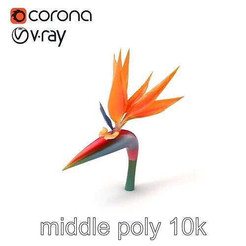 Strelitzia Reginae Bird of Paradise Flower model pack Low-poly 3D model