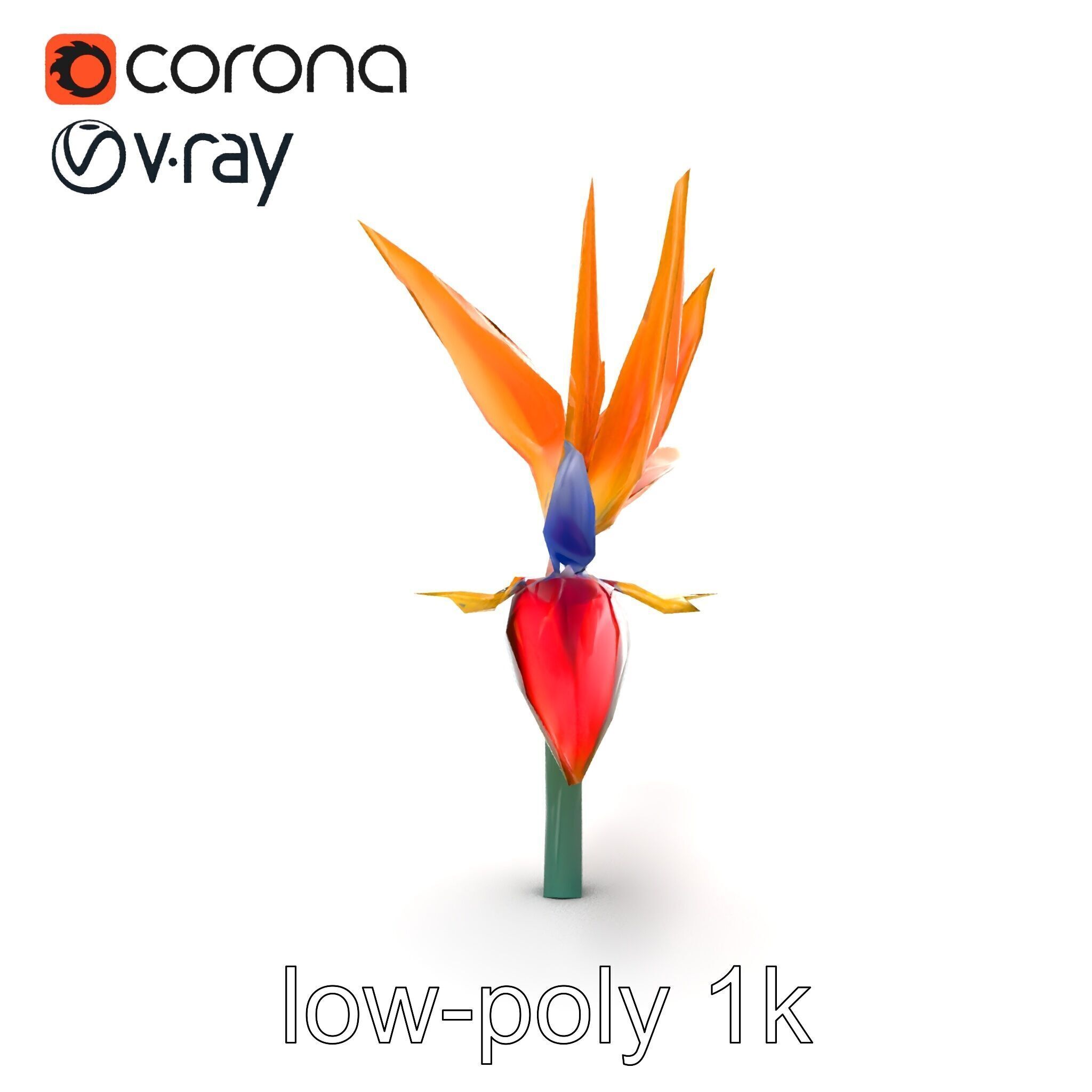 Strelitzia Reginae Bird of Paradise Flower model pack Low-poly 3D model_16