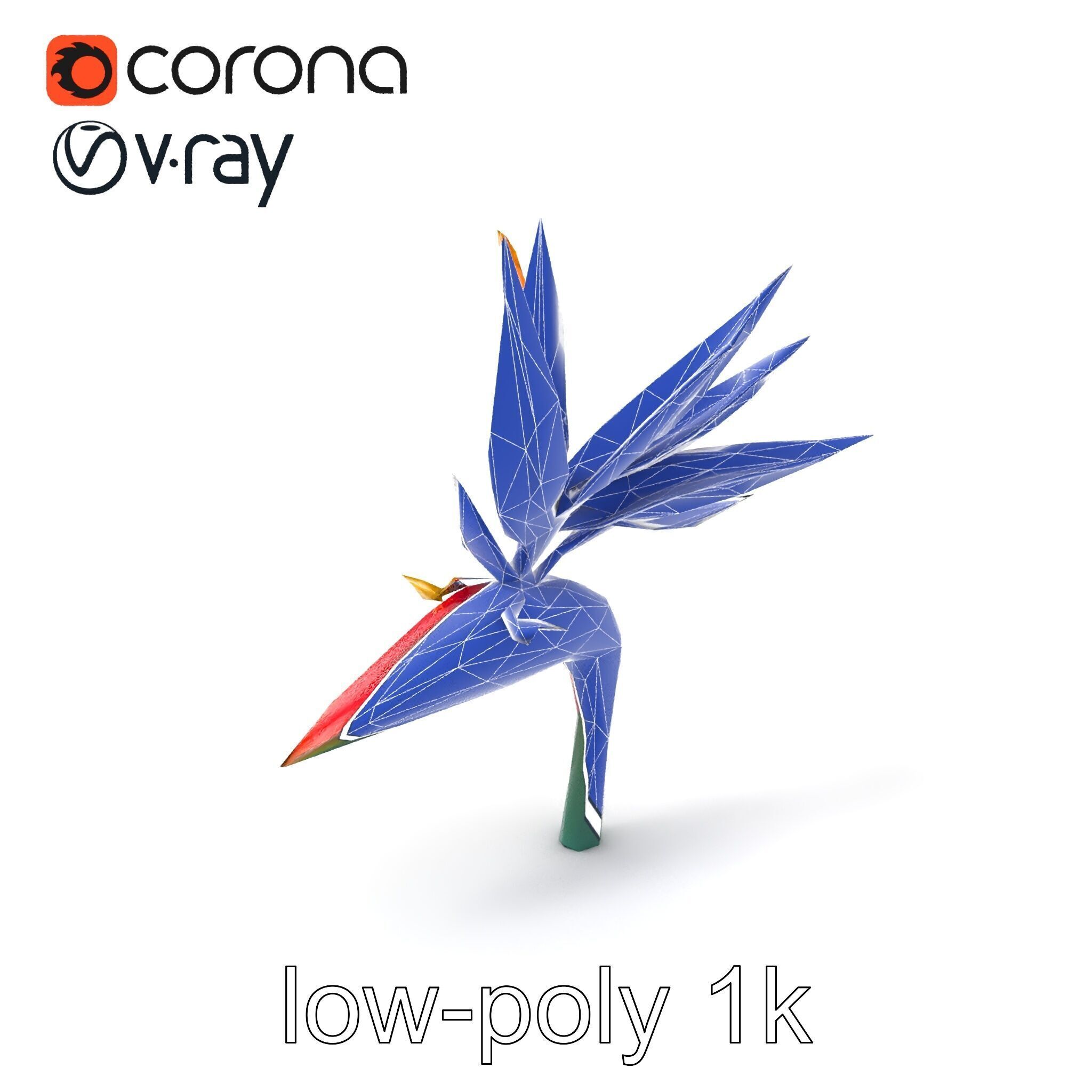 Strelitzia Reginae Bird of Paradise Flower model pack Low-poly 3D model_6