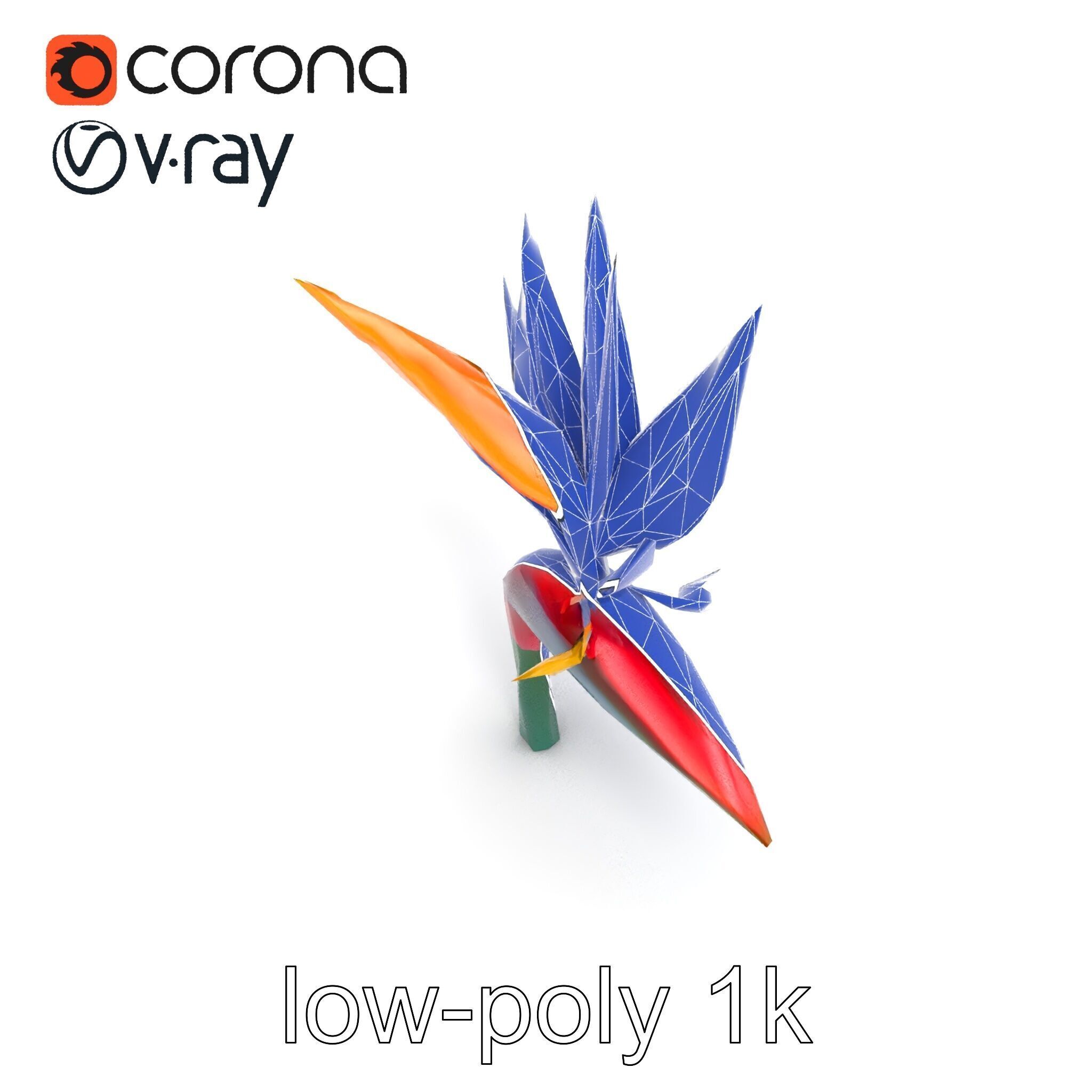 Strelitzia Reginae Bird of Paradise Flower model pack Low-poly 3D model_19