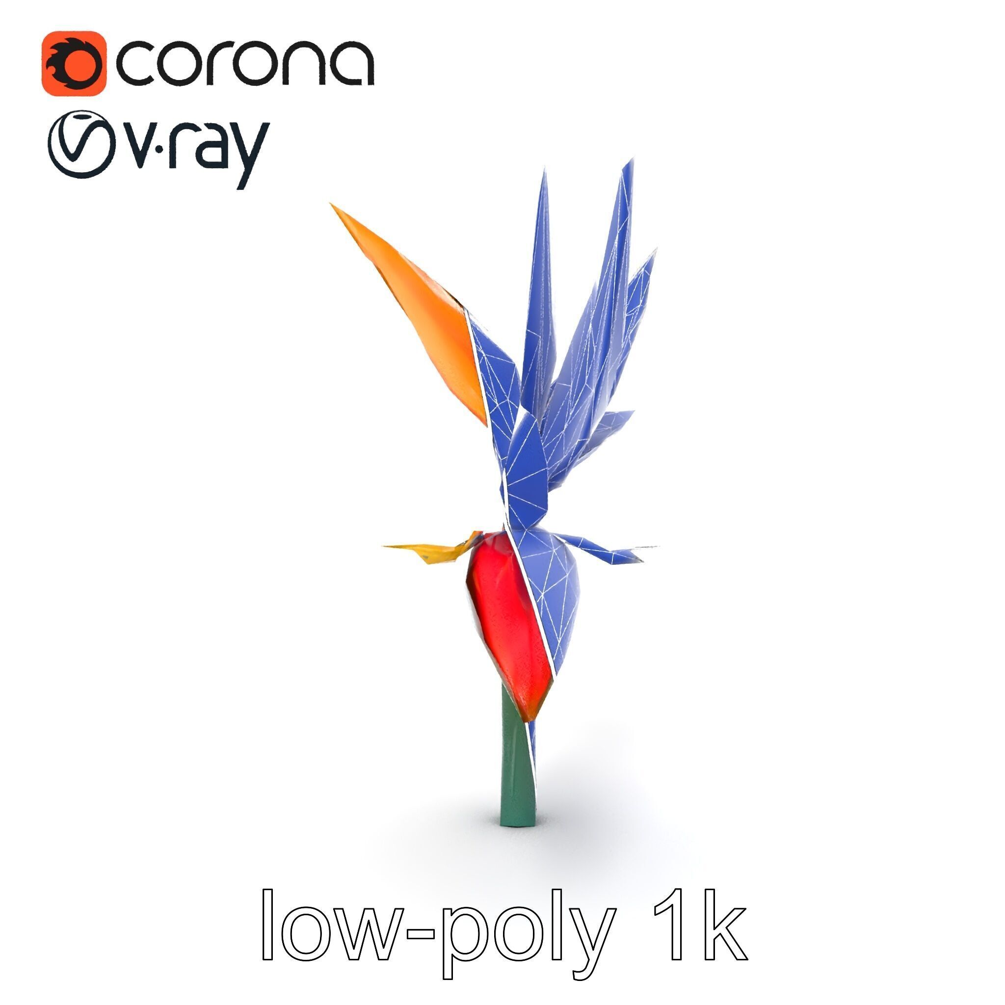 Strelitzia Reginae Bird of Paradise Flower model pack Low-poly 3D model_23