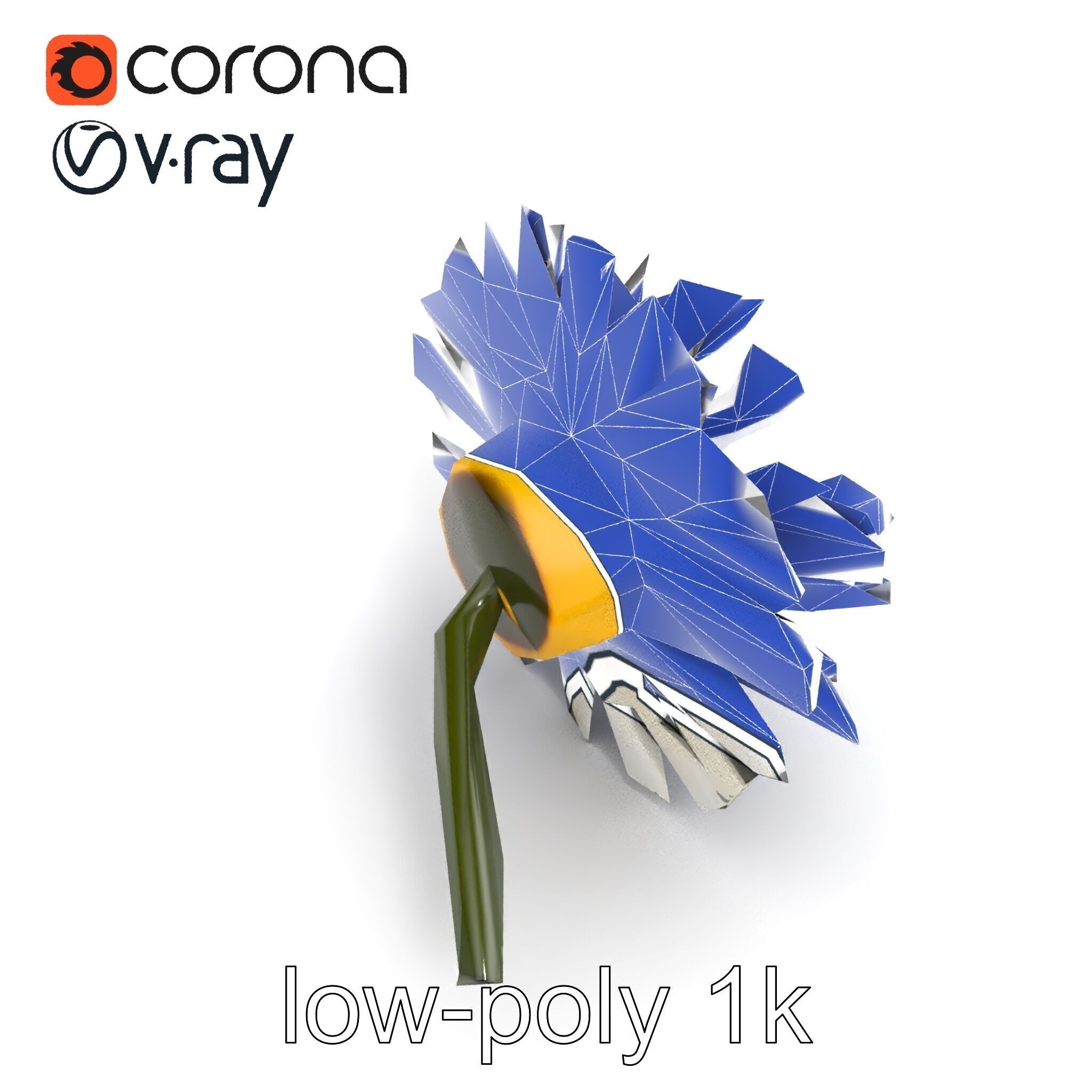 Leucanthemum Vulgare Realistic Flower Model Pack Low-poly 3D model_14