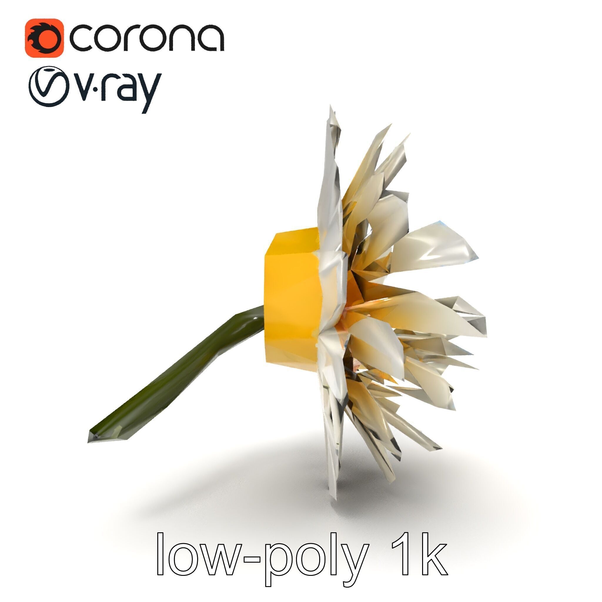Leucanthemum Vulgare Realistic Flower Model Pack Low-poly 3D model_21