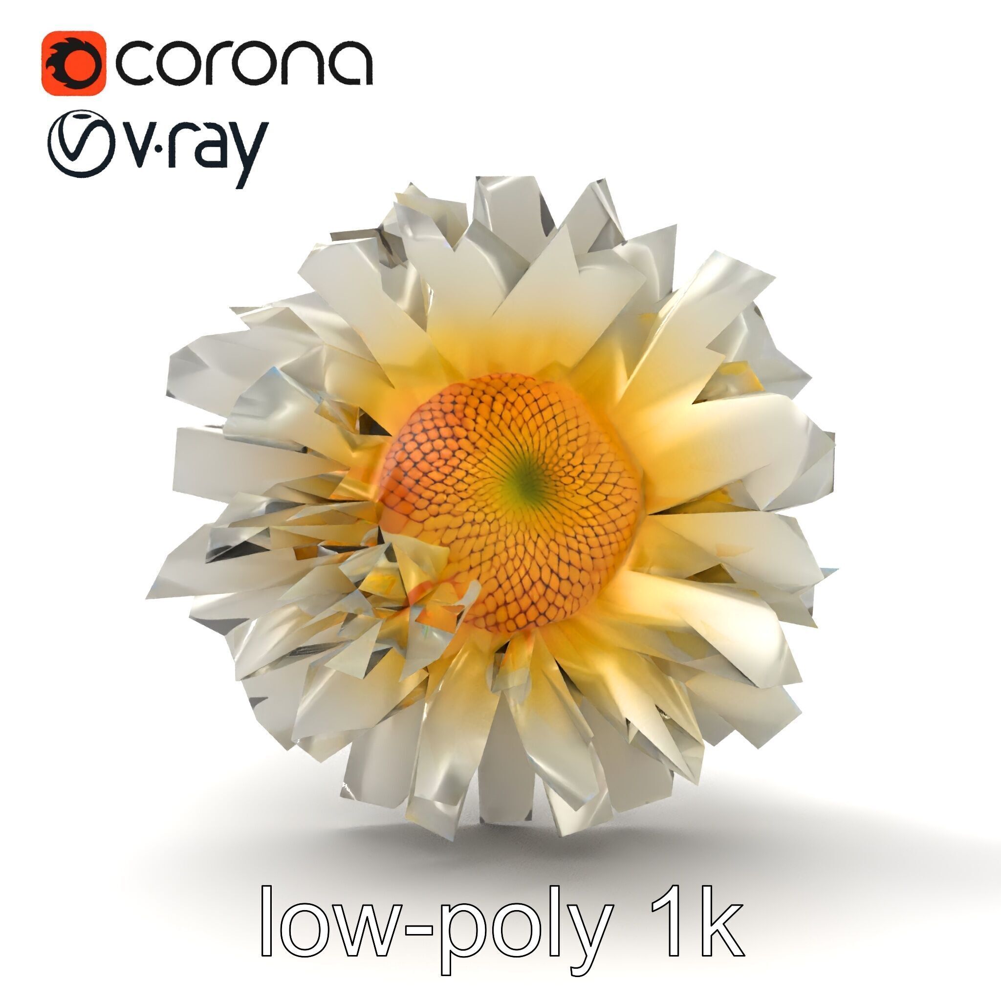 Leucanthemum Vulgare Realistic Flower Model Pack Low-poly 3D model_17