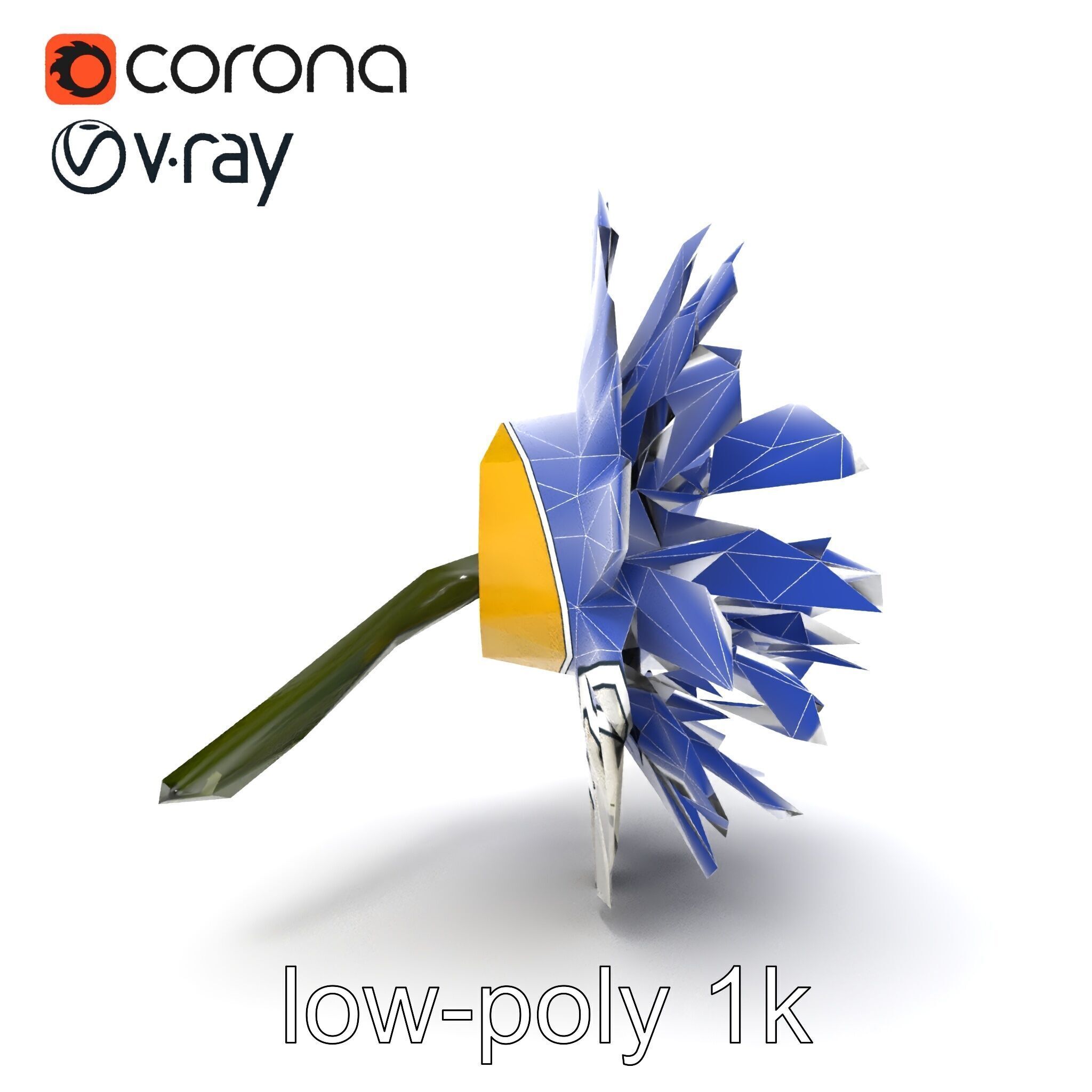 Leucanthemum Vulgare Realistic Flower Model Pack Low-poly 3D model_28