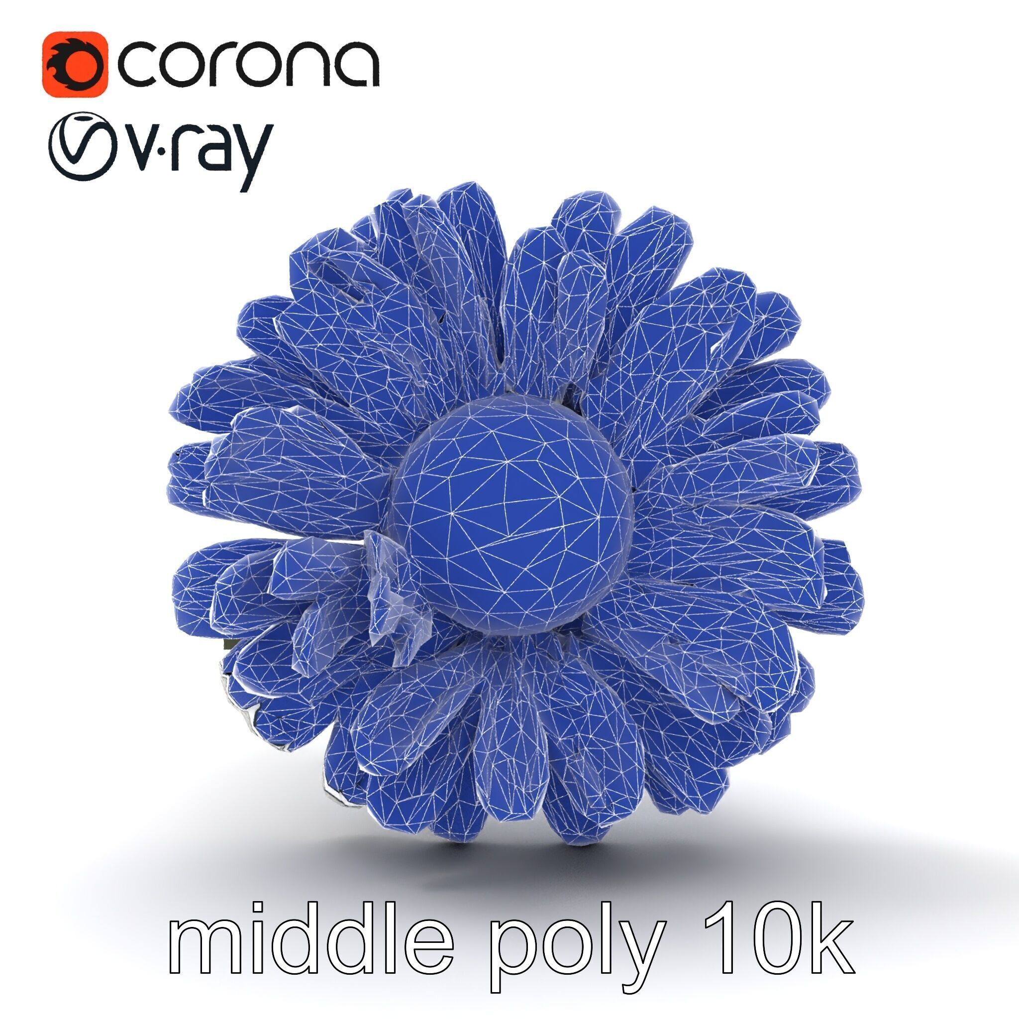 Leucanthemum Vulgare Realistic Flower Model Pack Low-poly 3D model_19