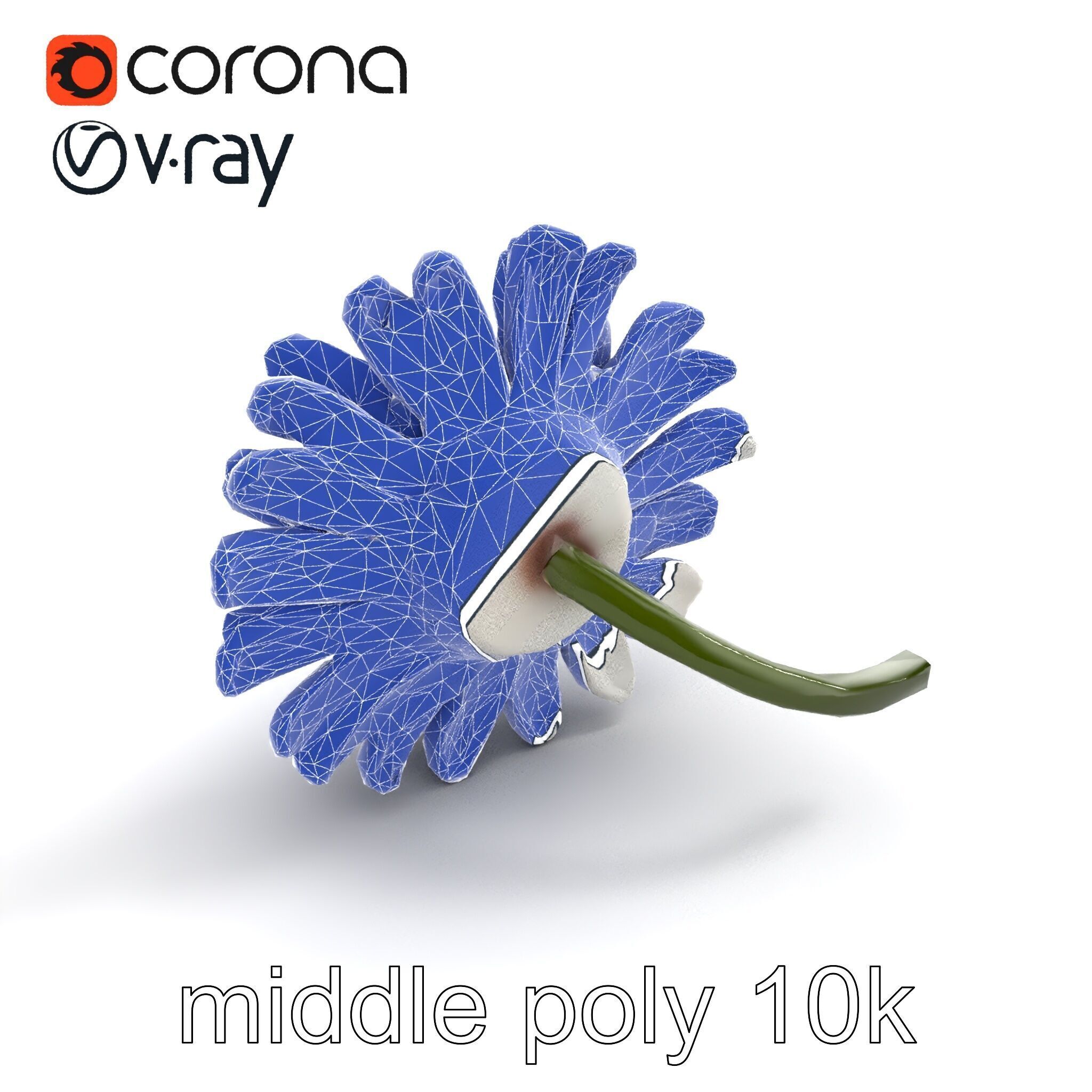 Leucanthemum Vulgare Realistic Flower Model Pack Low-poly 3D model_30