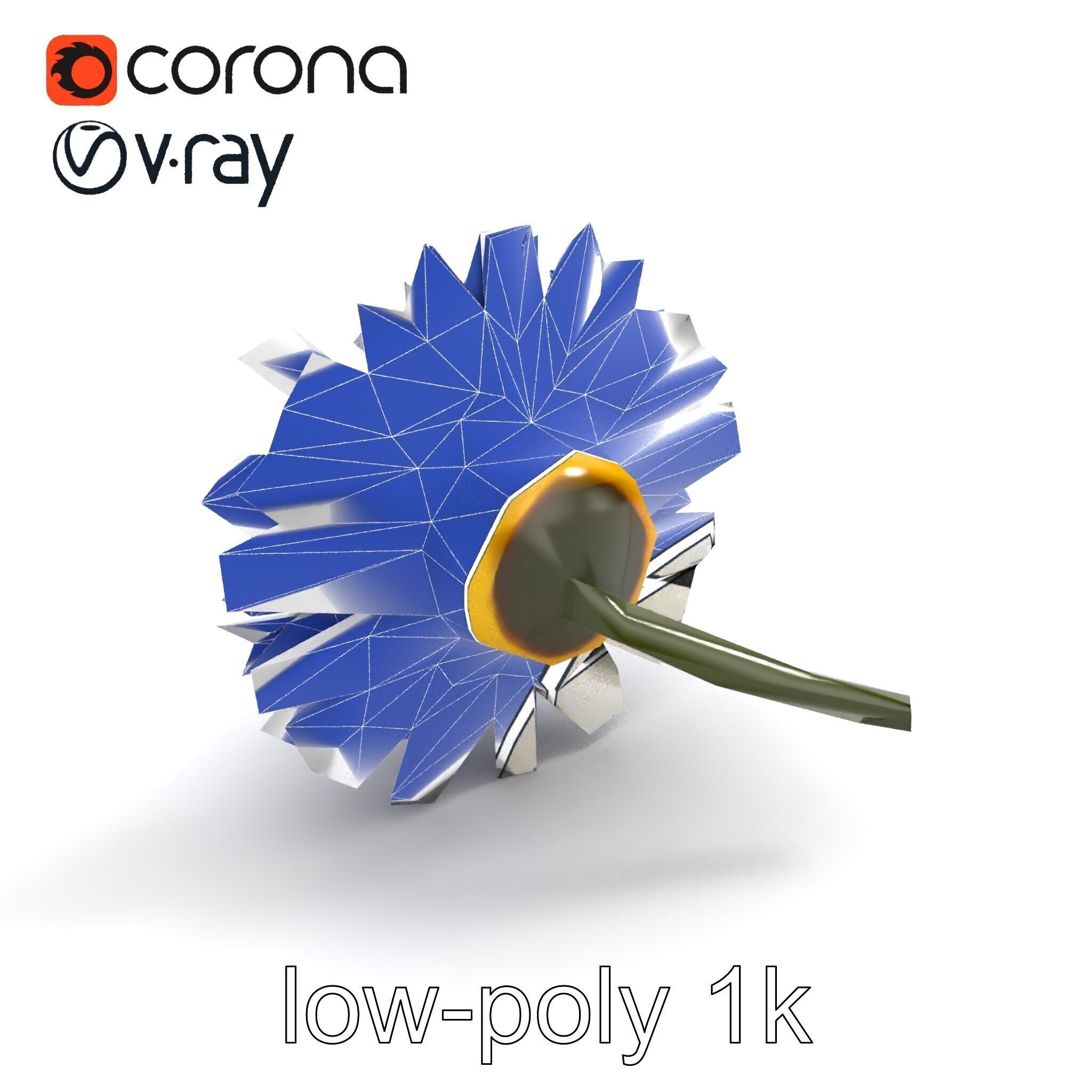 Leucanthemum Vulgare Realistic Flower Model Pack Low-poly 3D model_12